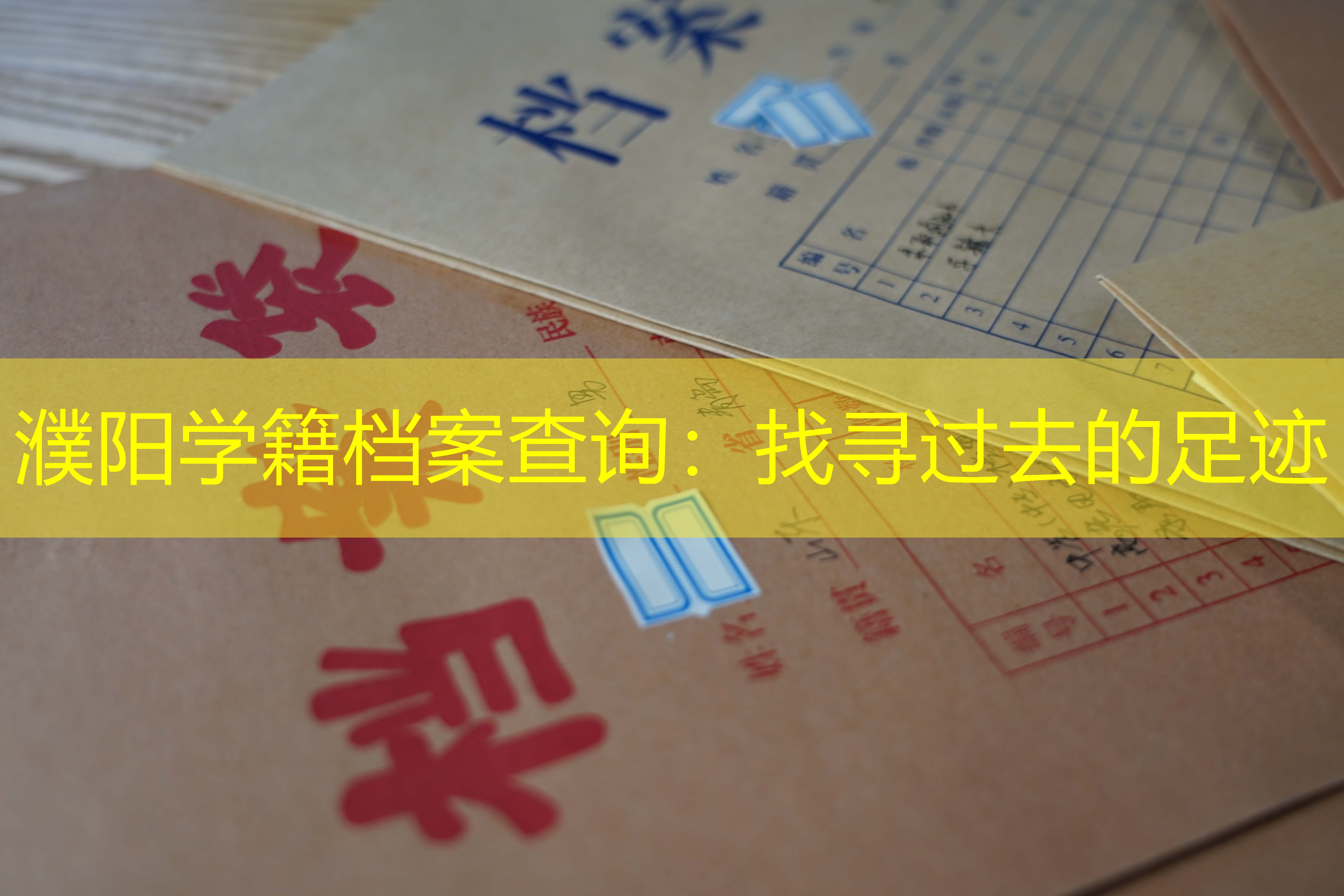 档案查询
