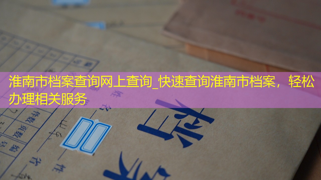 档案查询