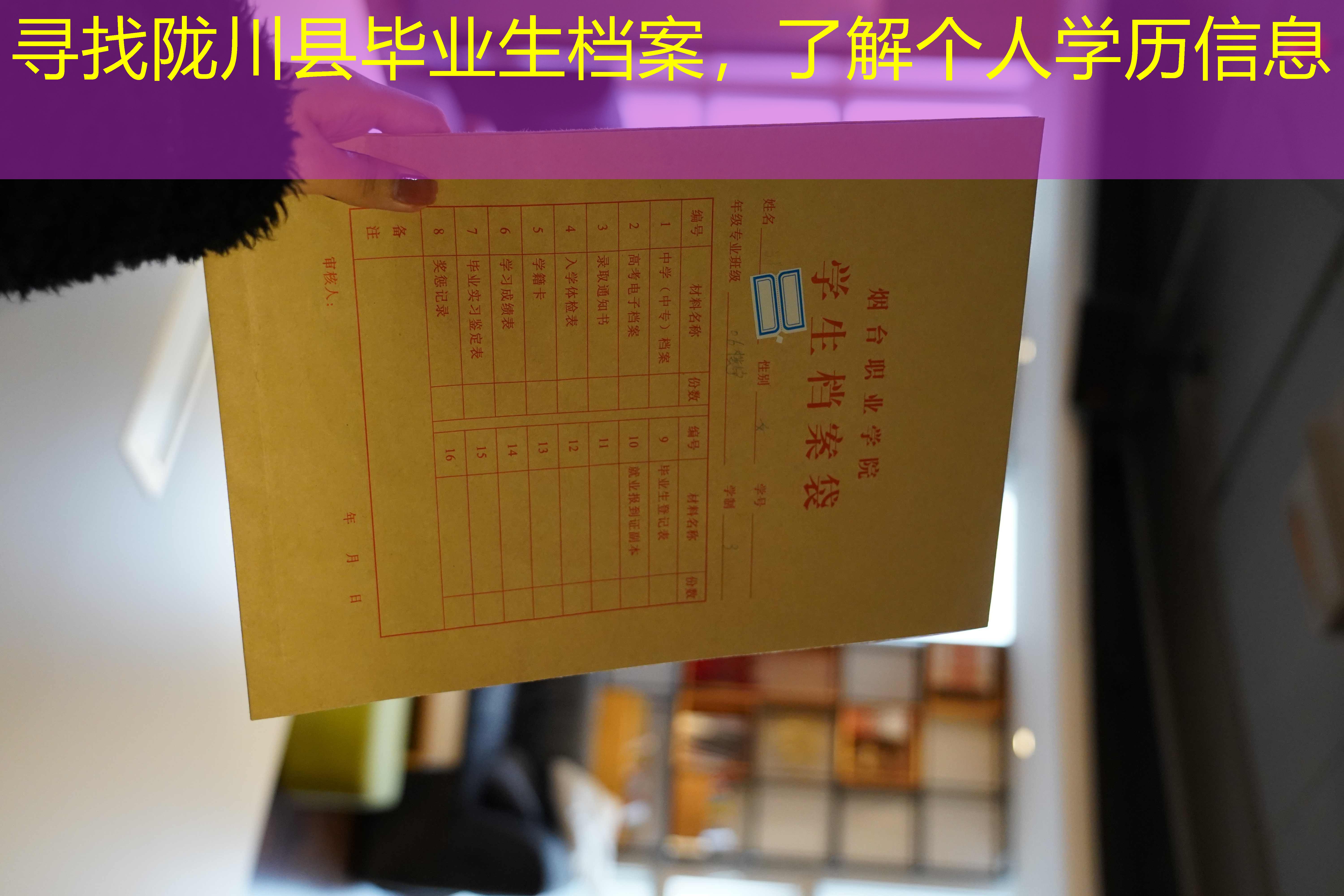 档案查询