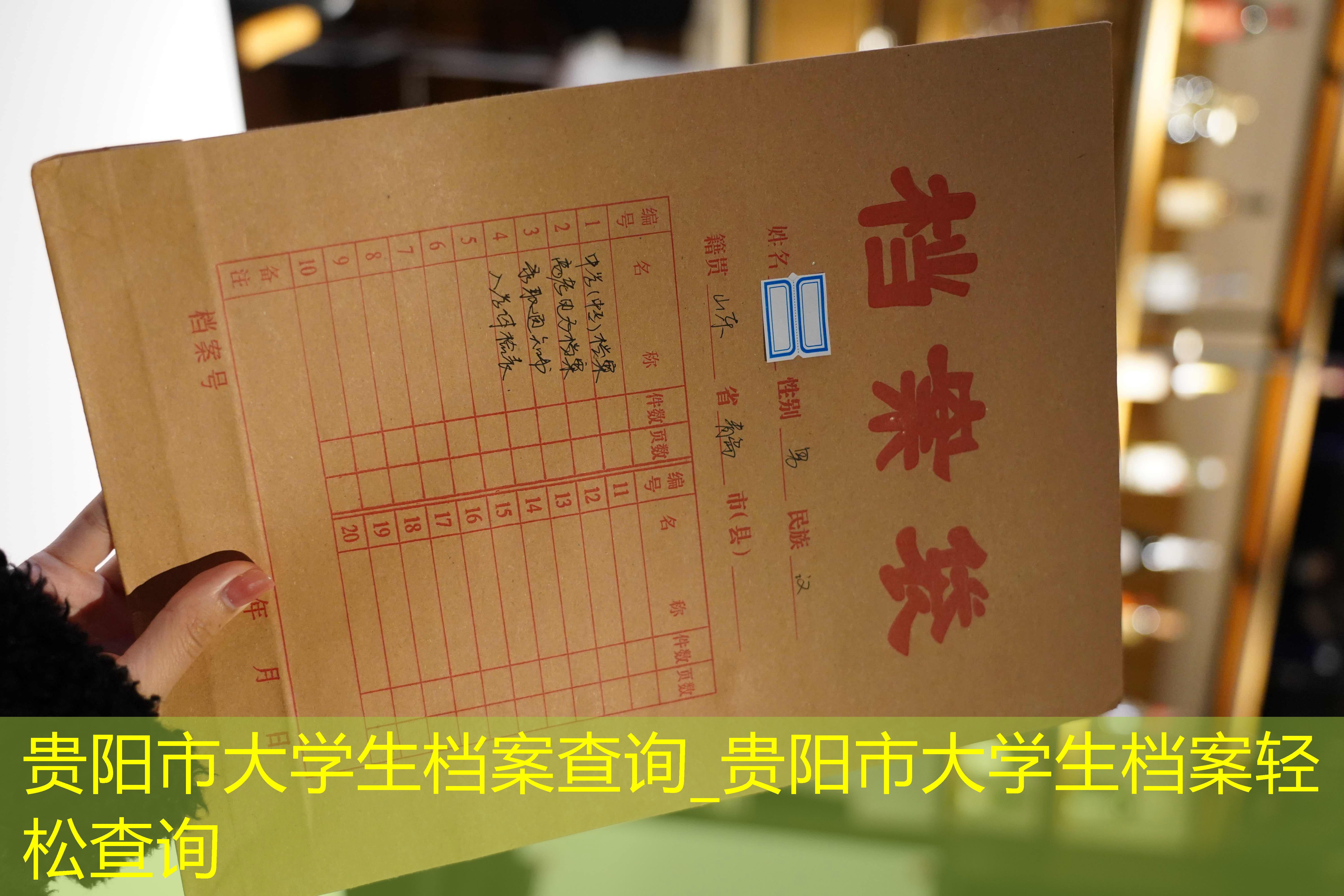 档案查询