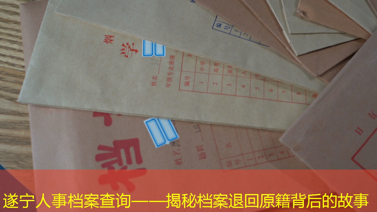 档案查询