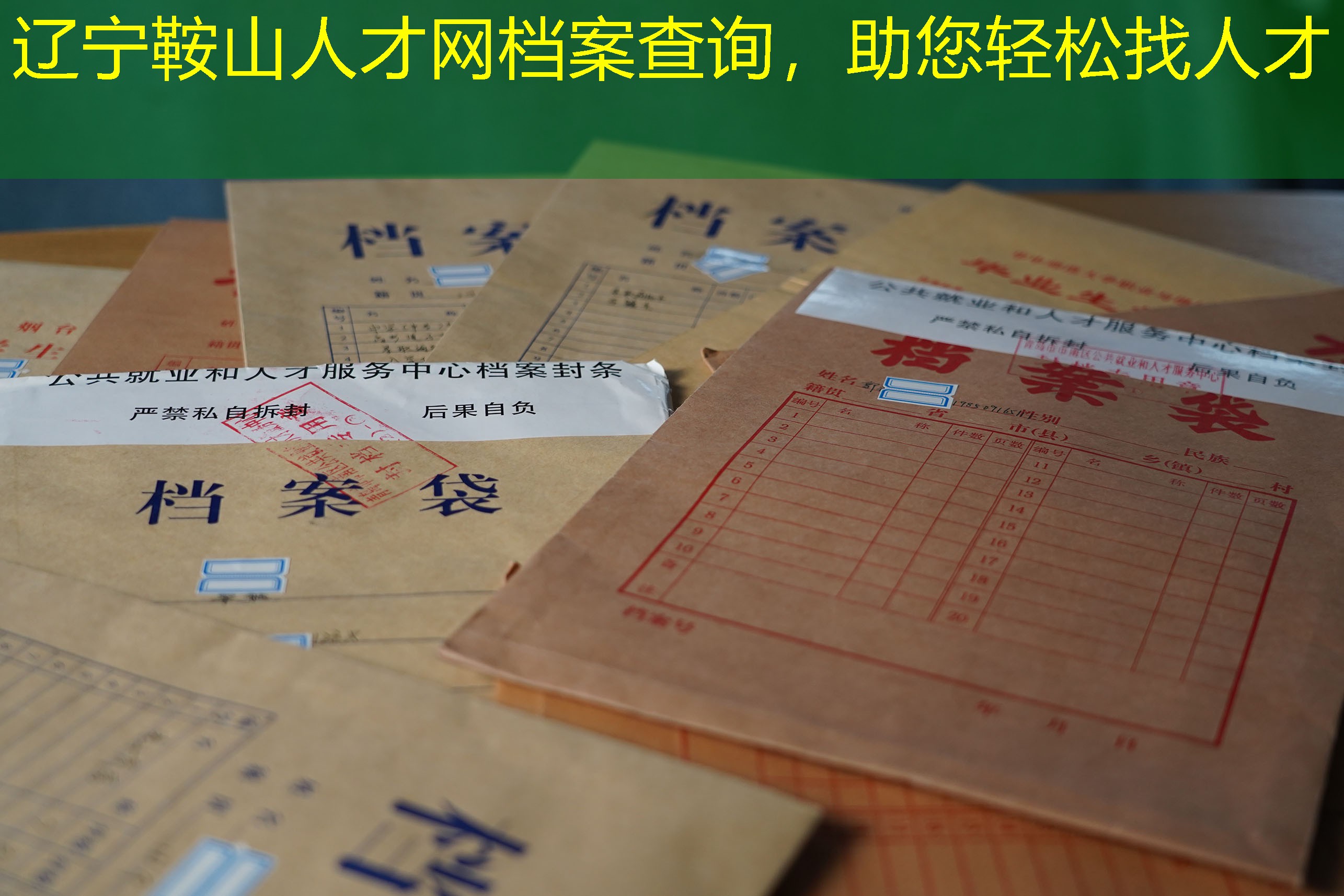 档案查询