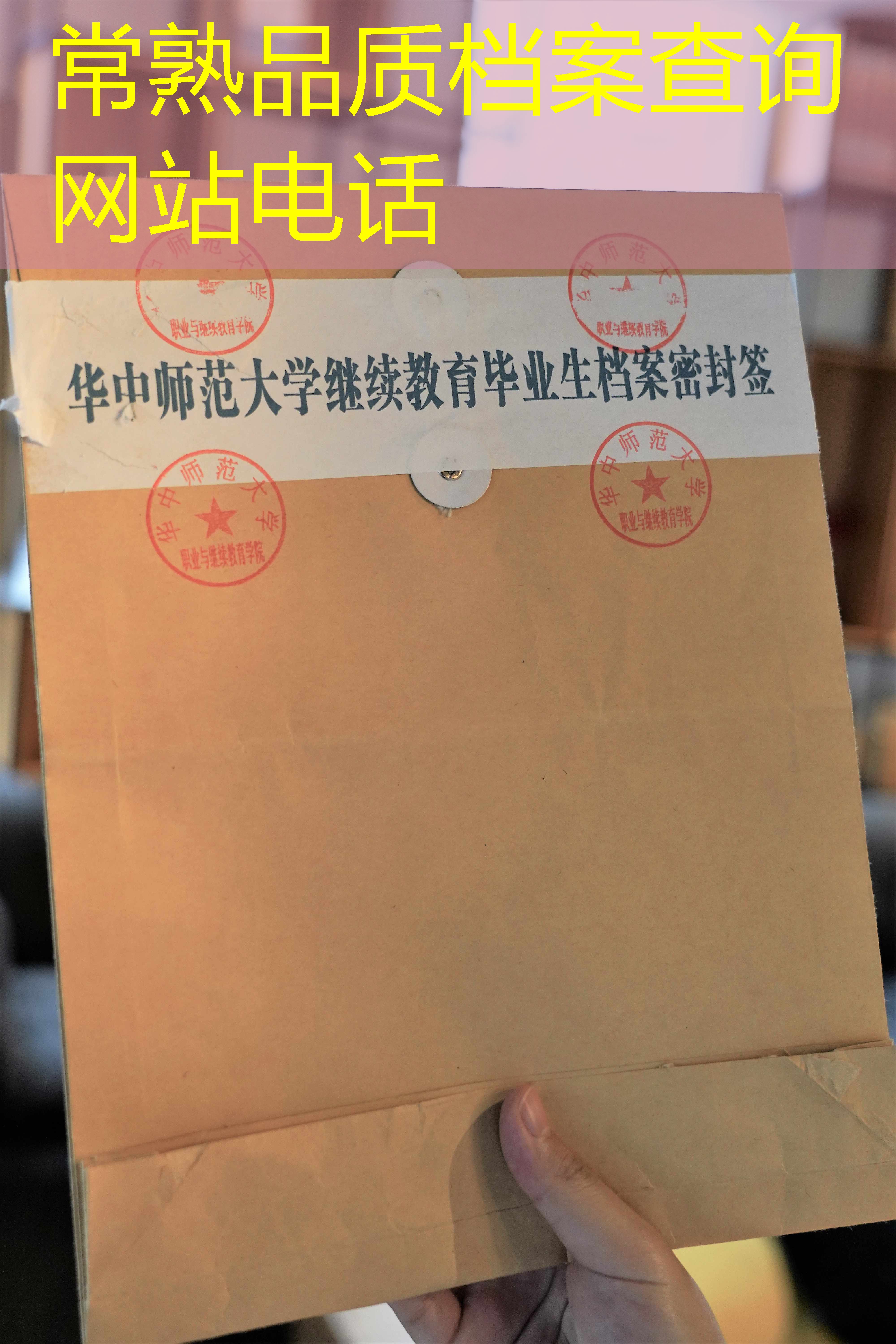 档案查询