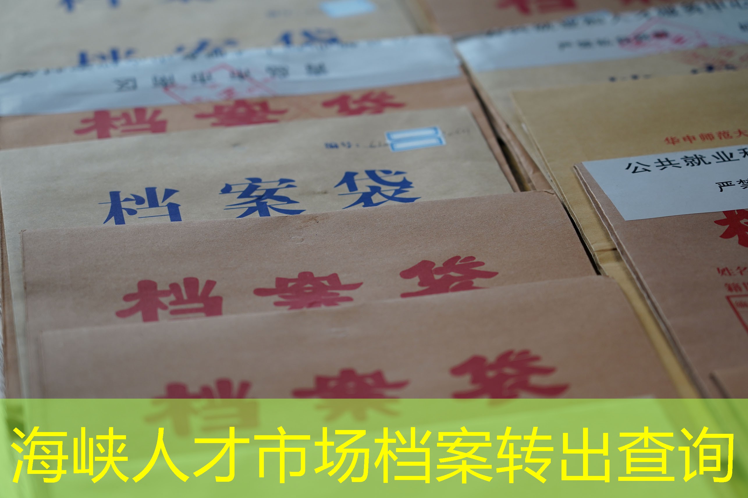 档案查询