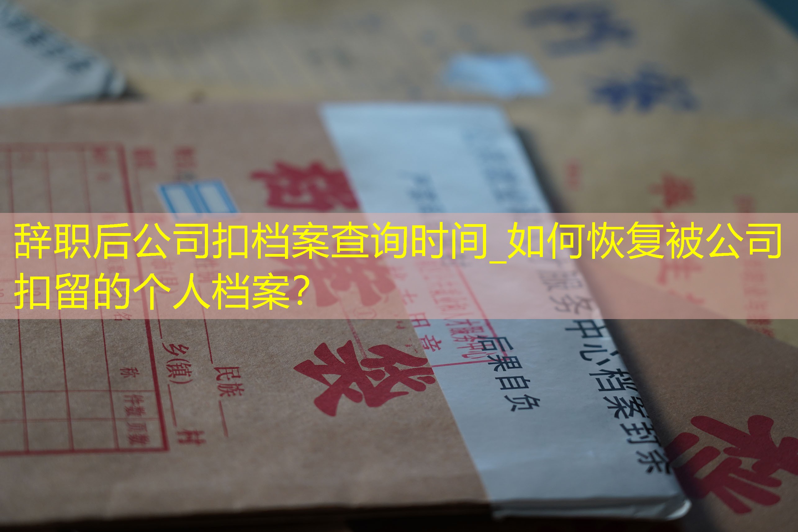 档案查询