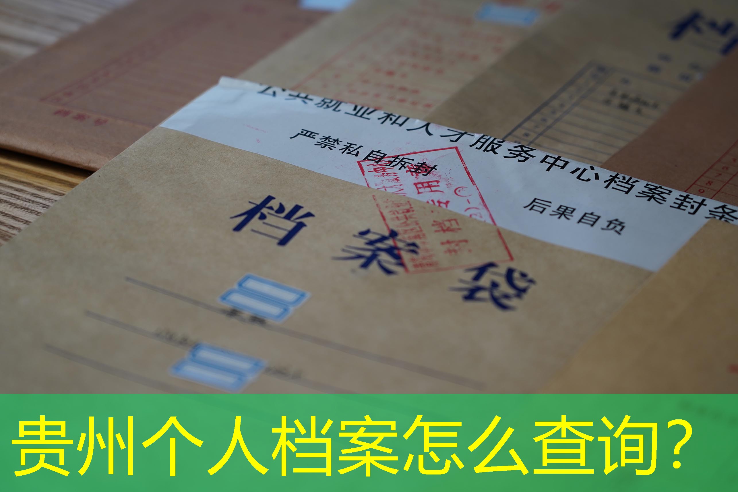 档案查询