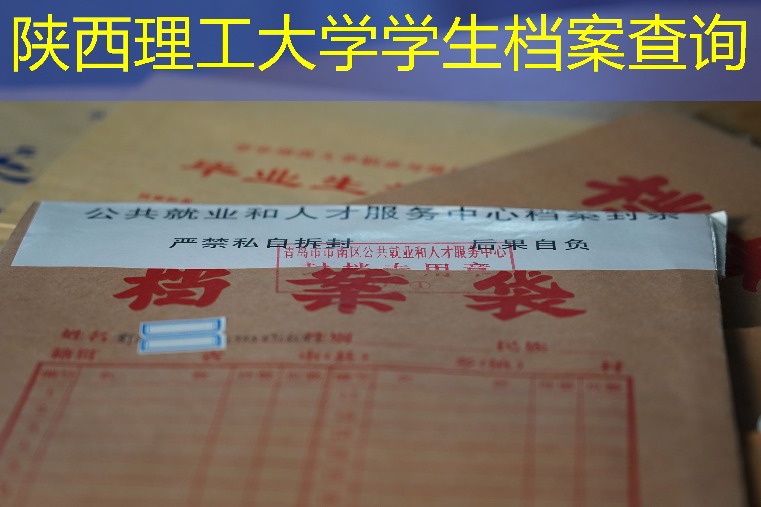 档案查询