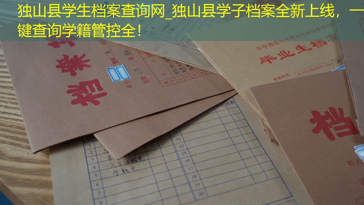 档案查询