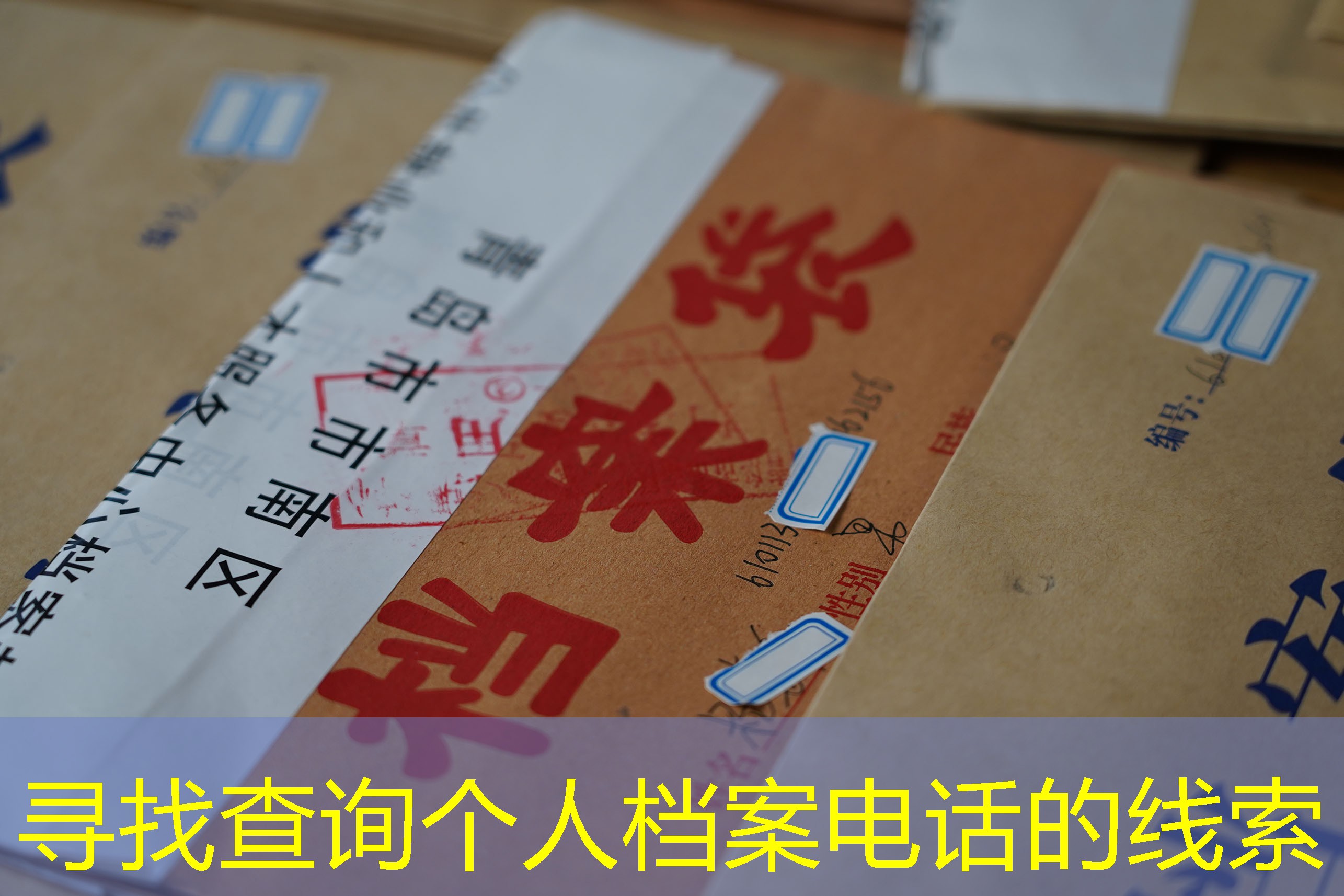 档案查询