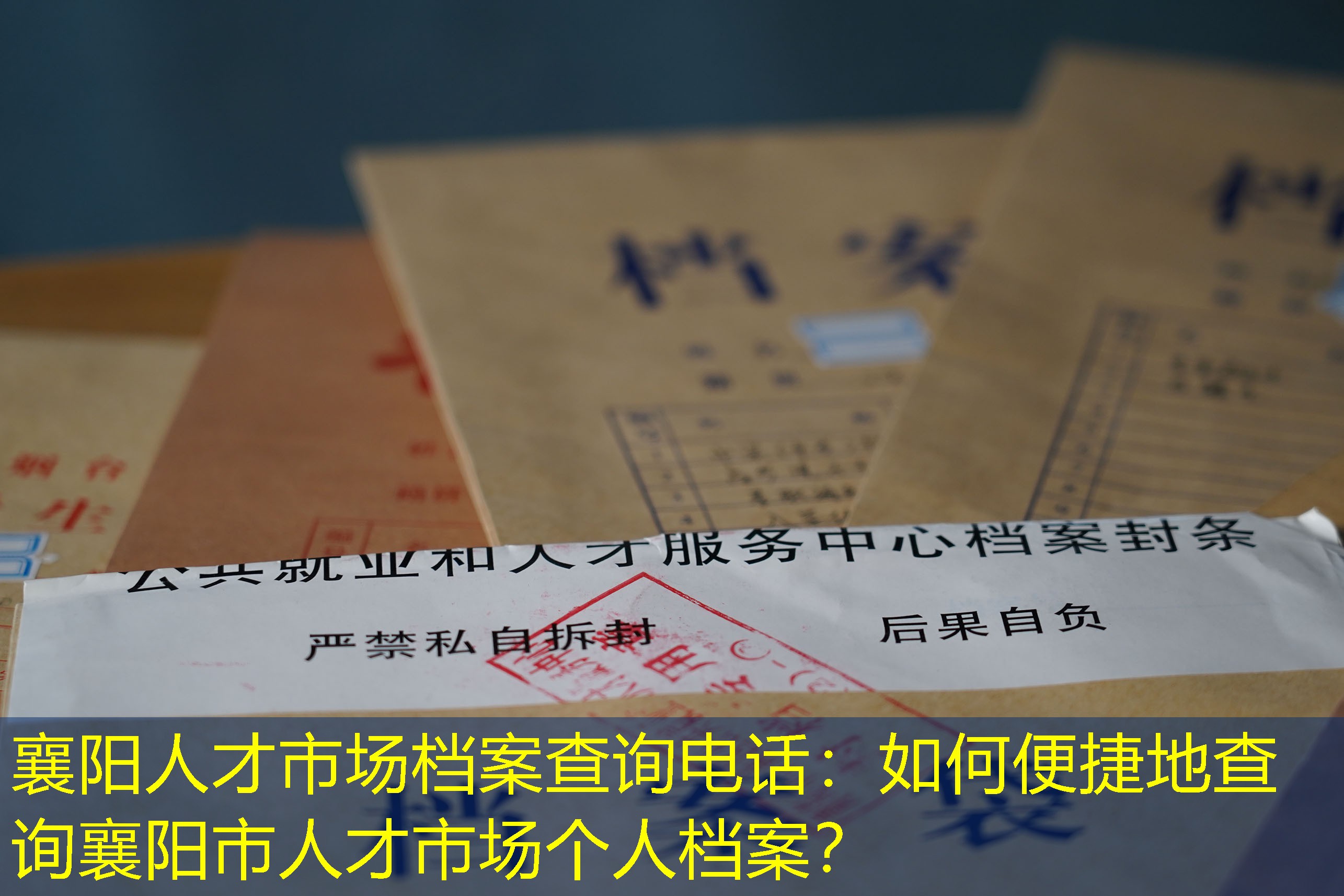 档案查询