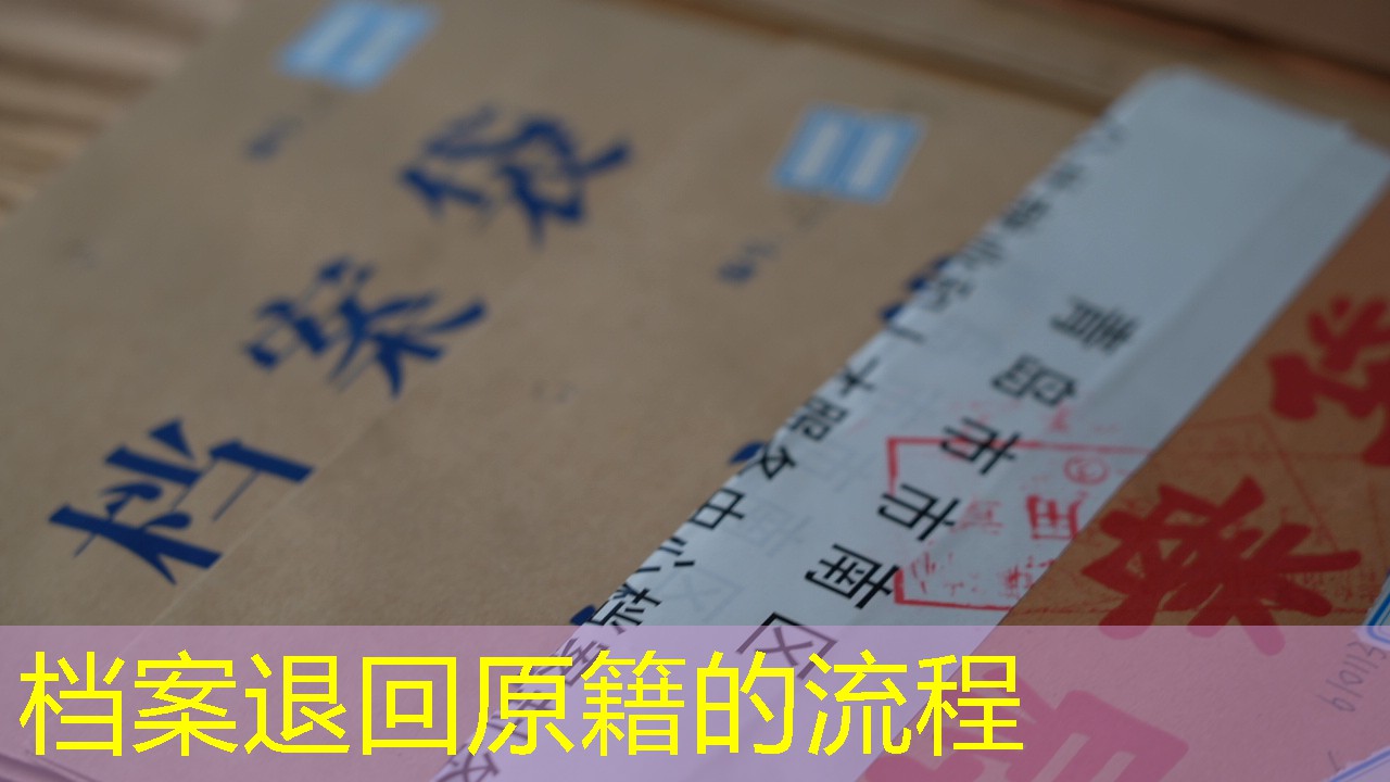 档案查询