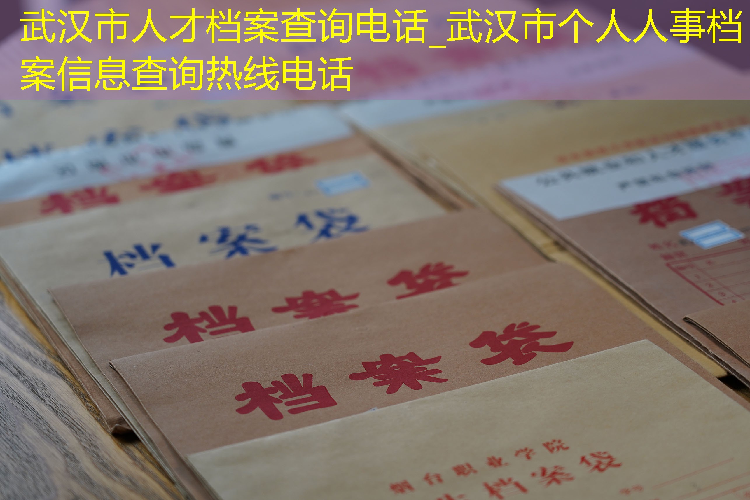 档案查询
