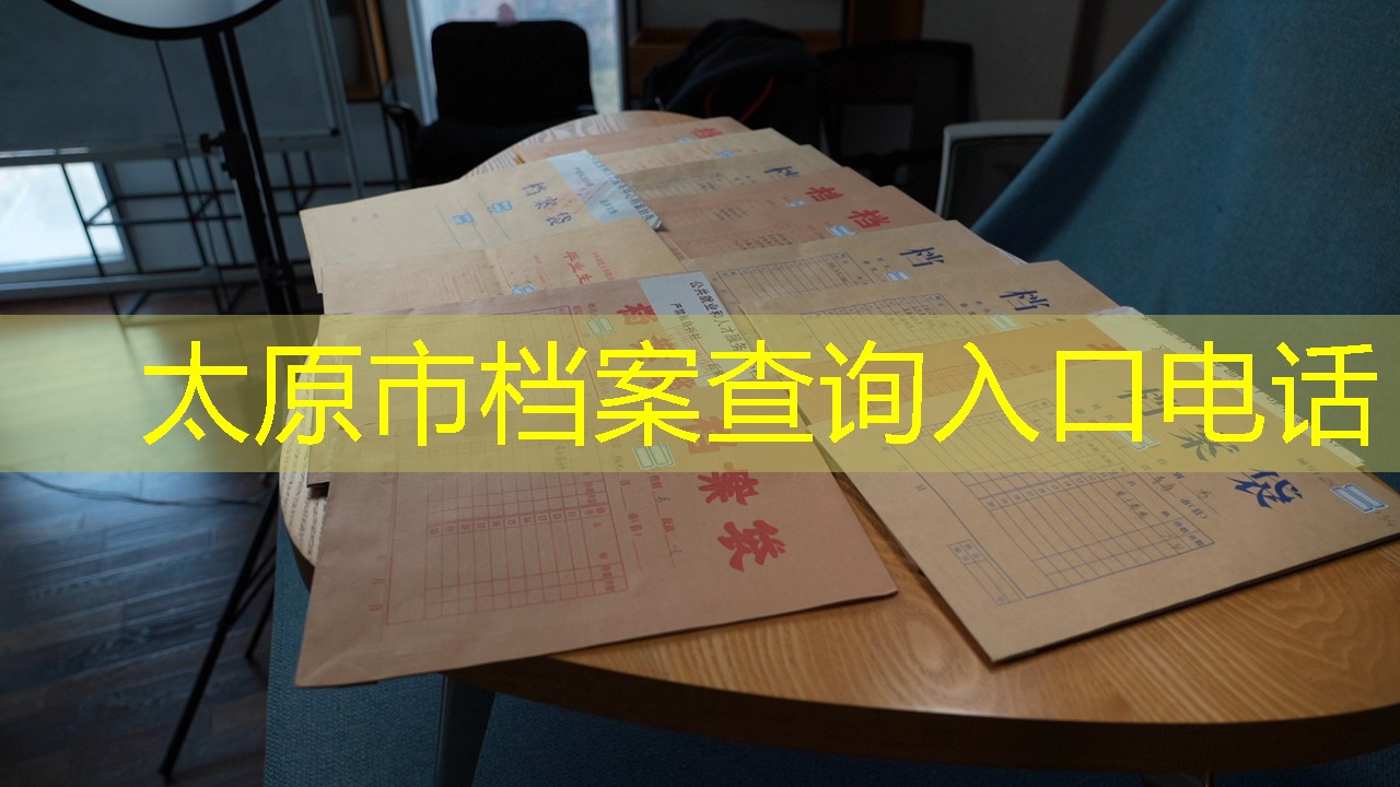档案查询