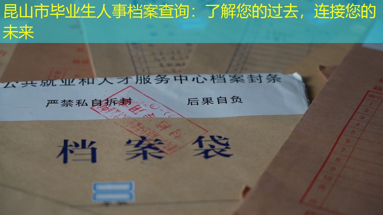档案查询