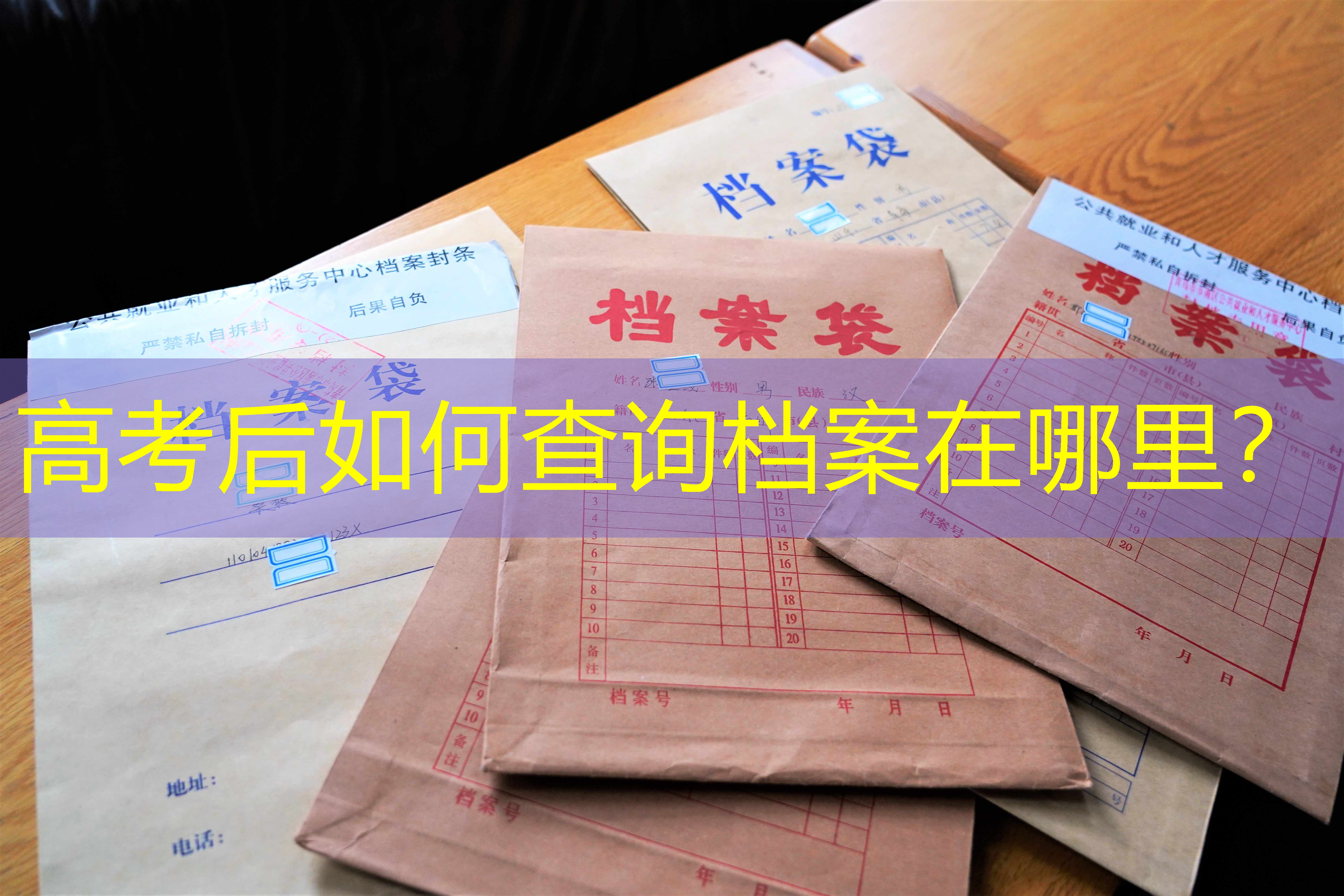 档案查询