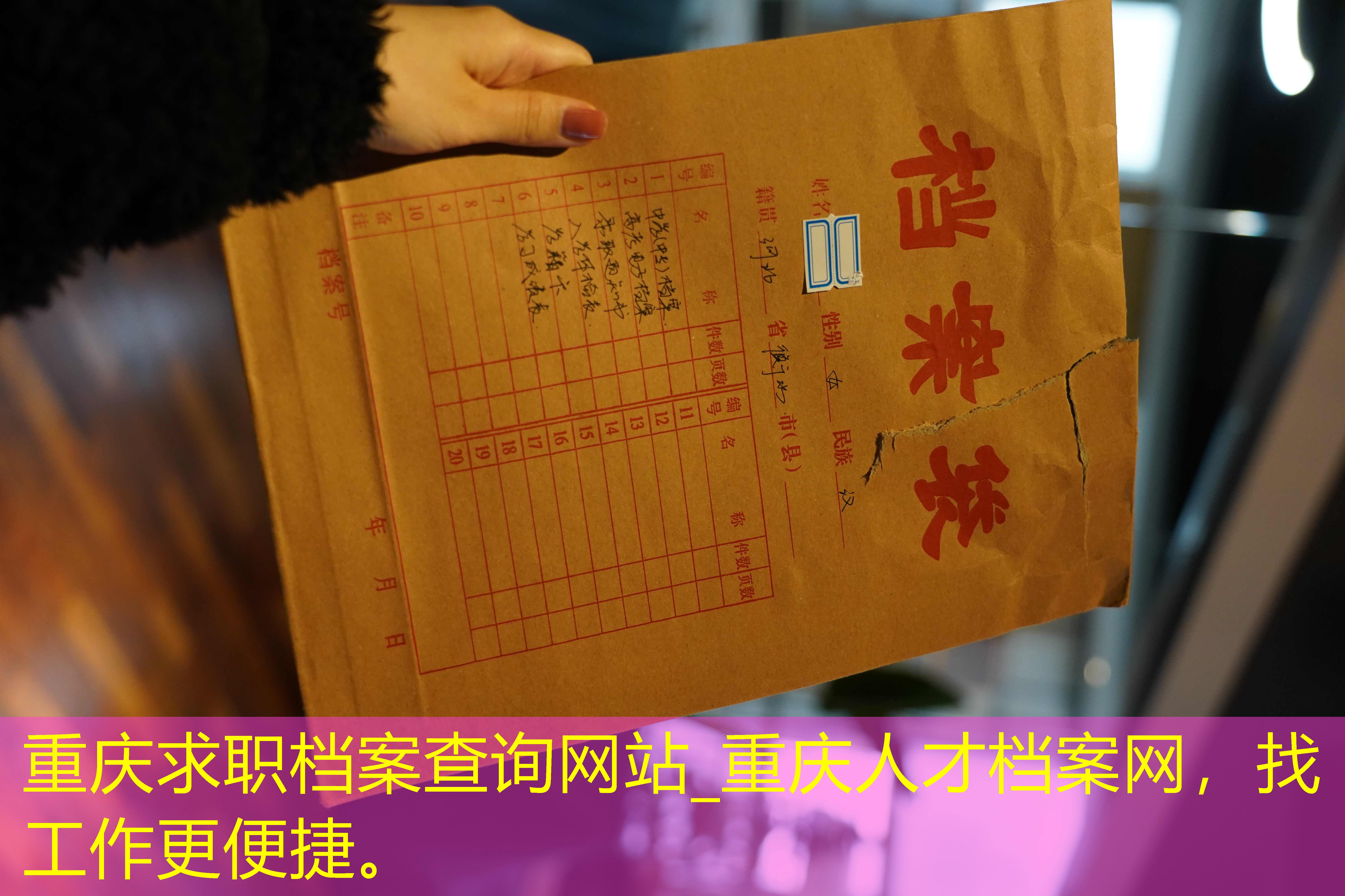 档案查询