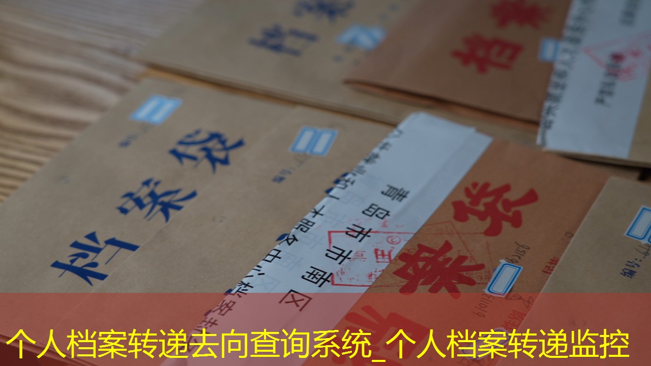 档案查询