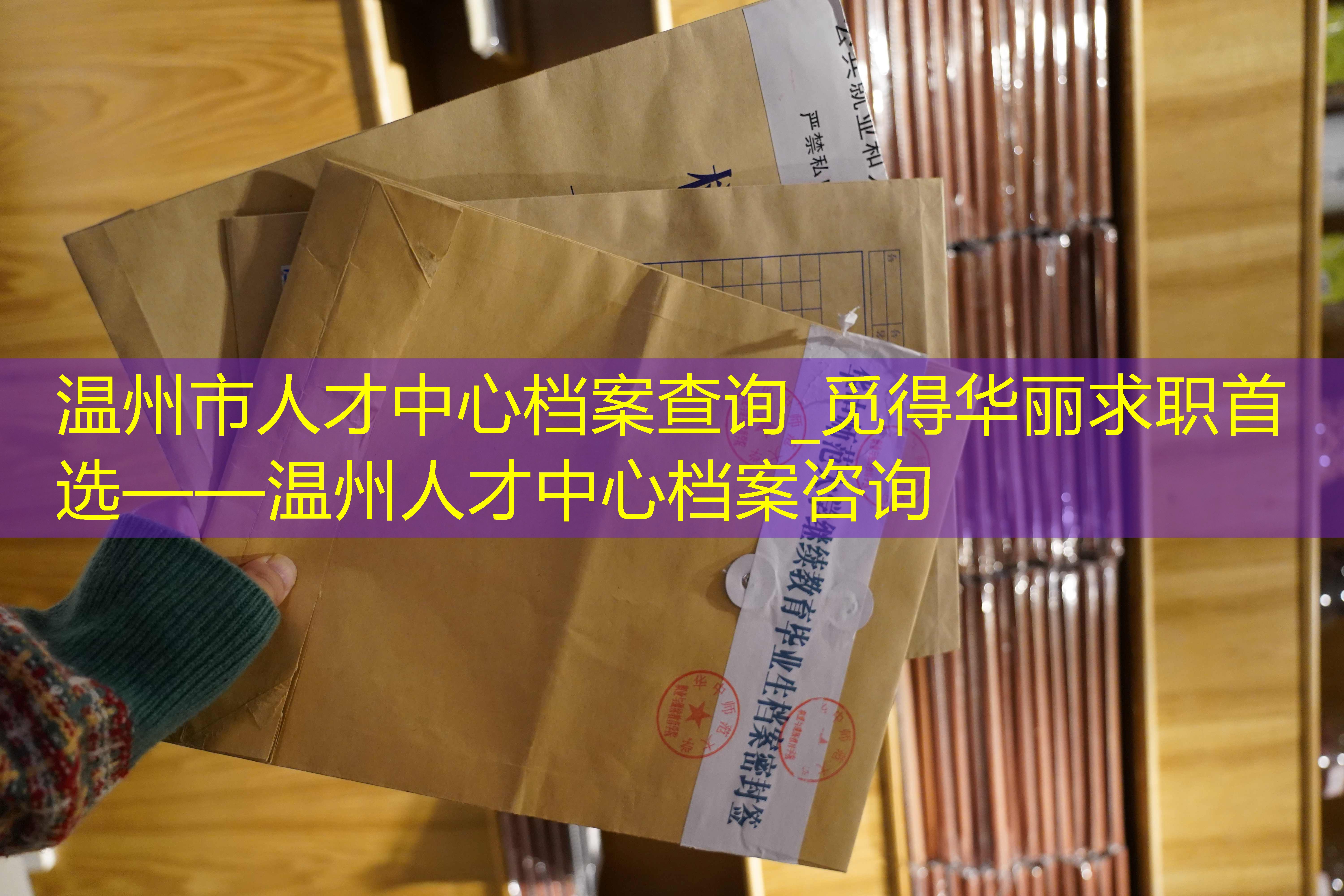 档案查询