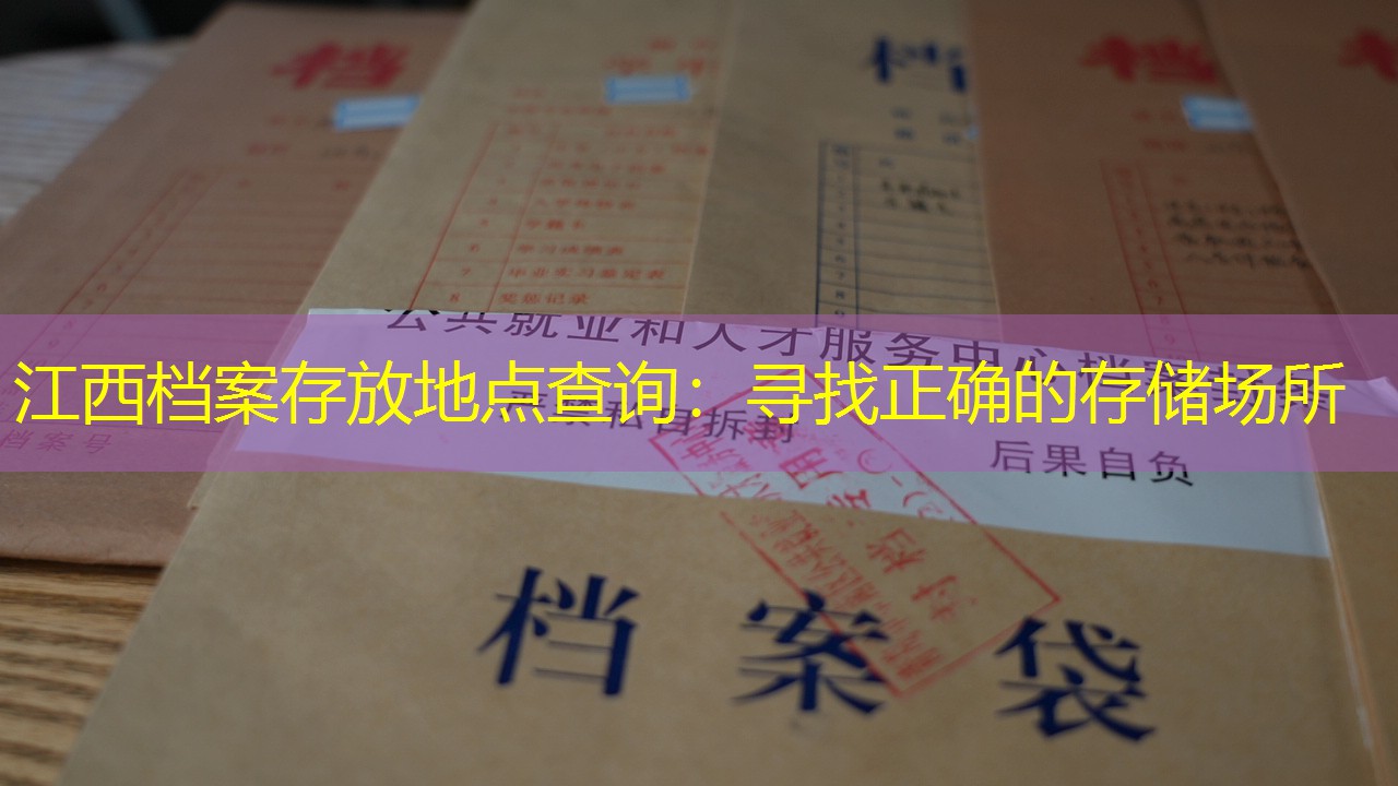 档案查询