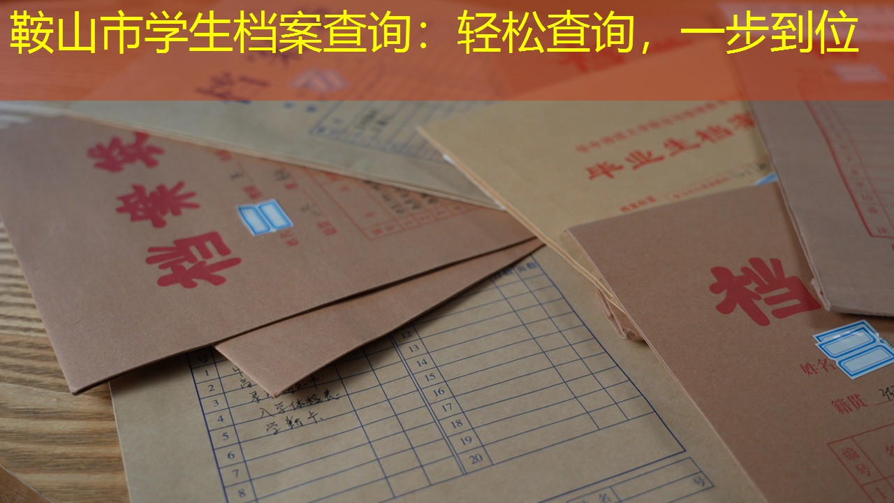 档案查询