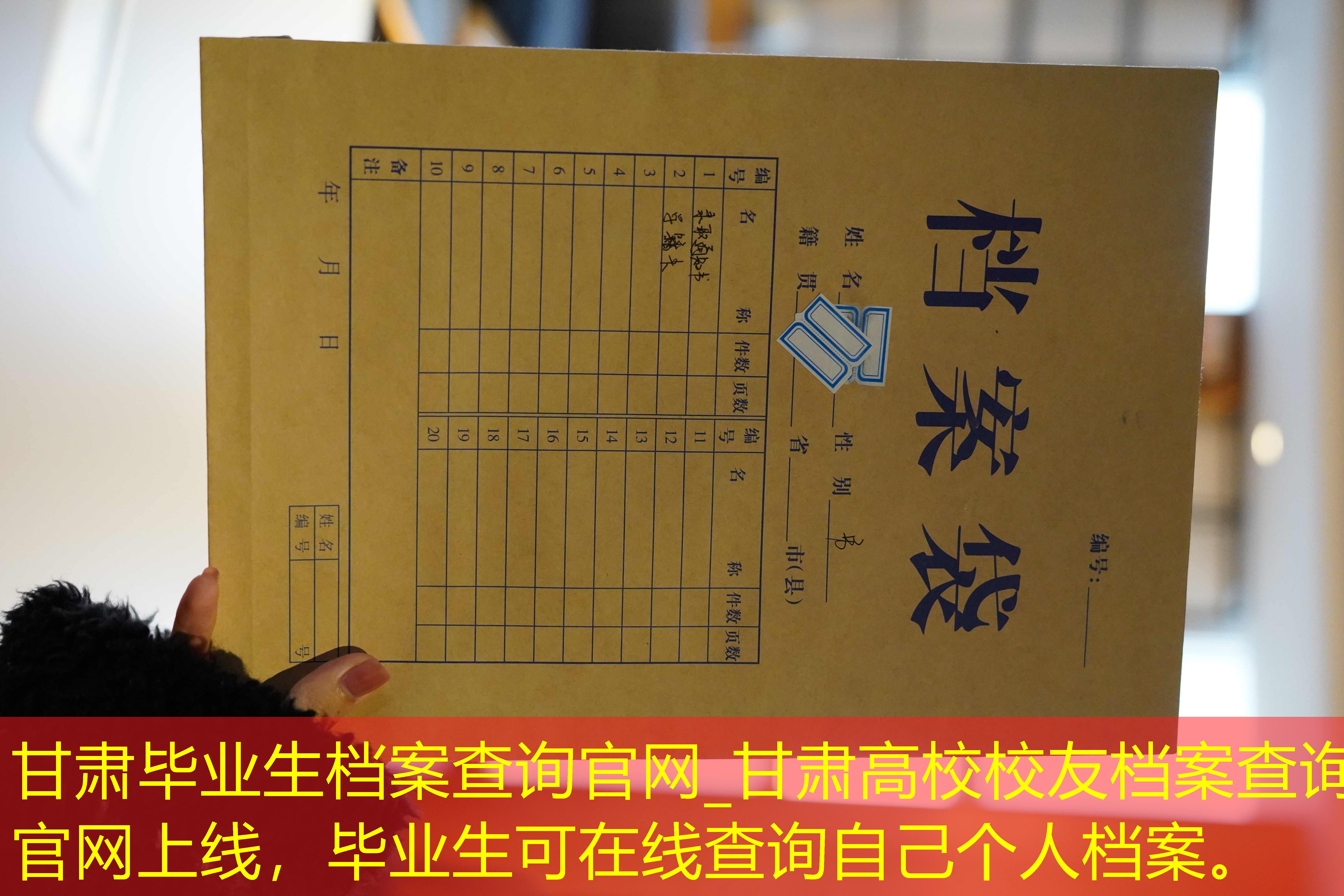 档案查询
