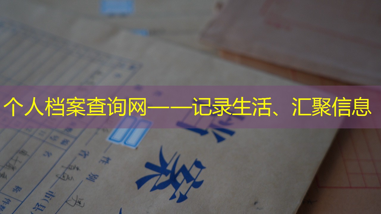 档案查询