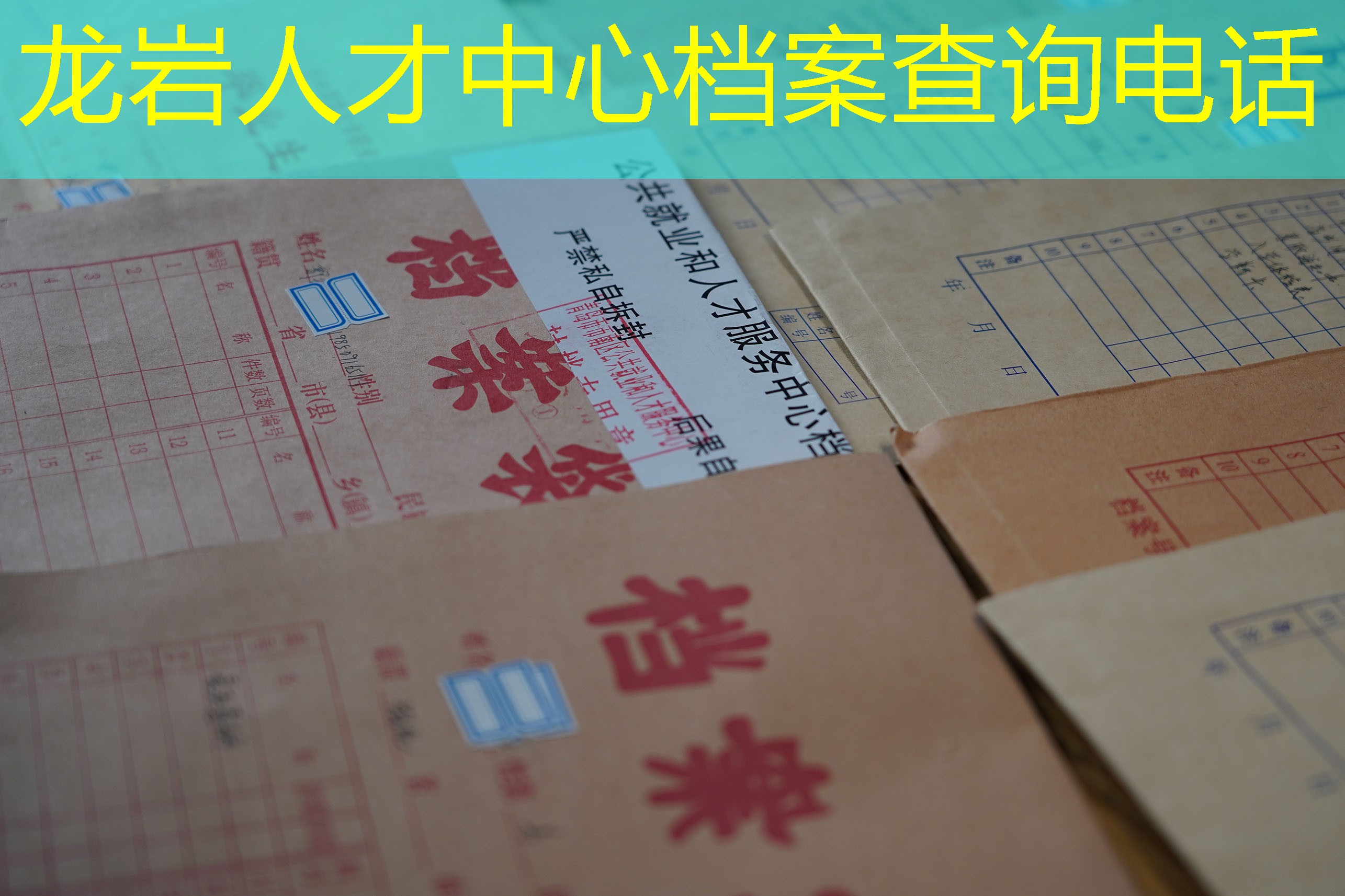 档案查询