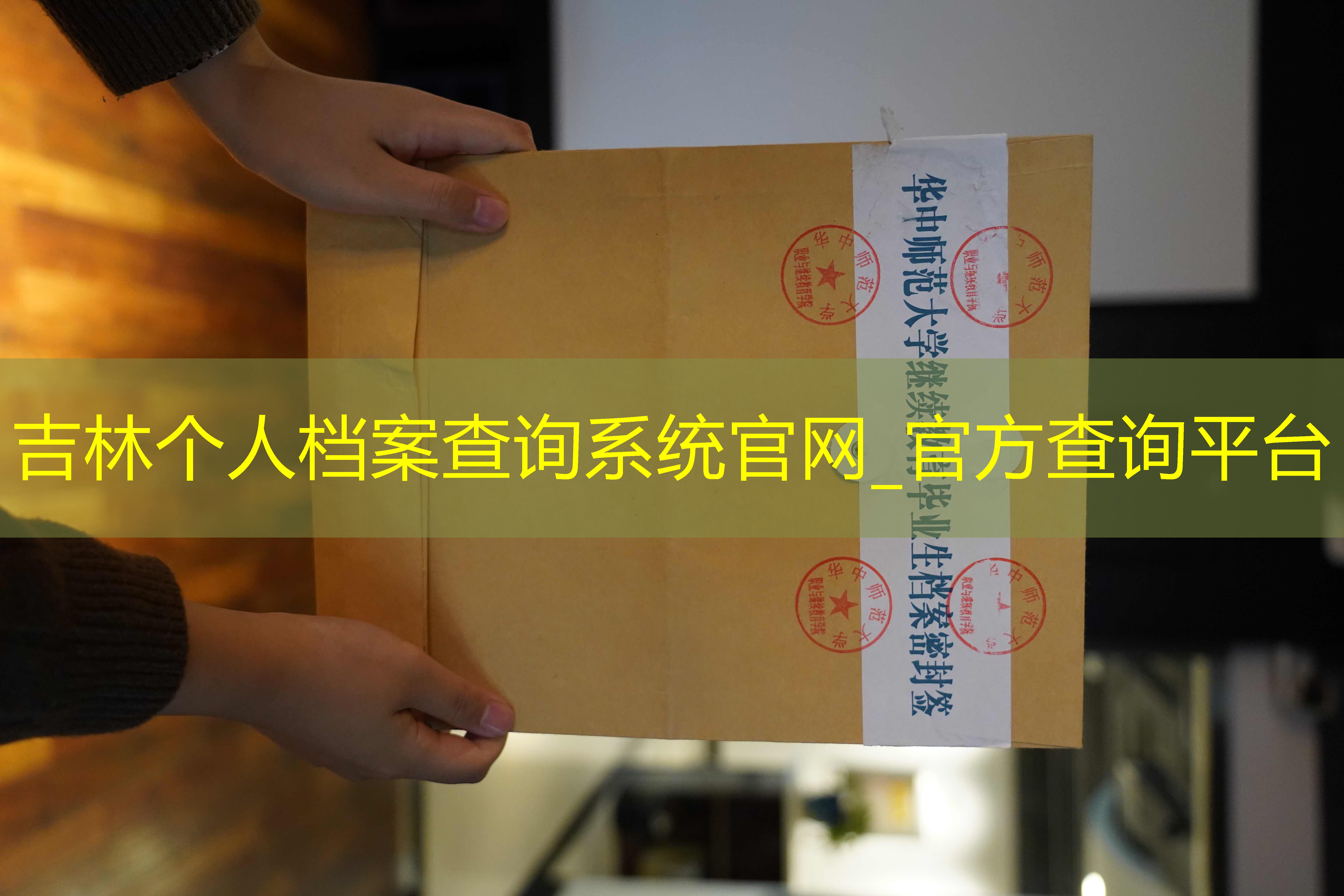 档案查询