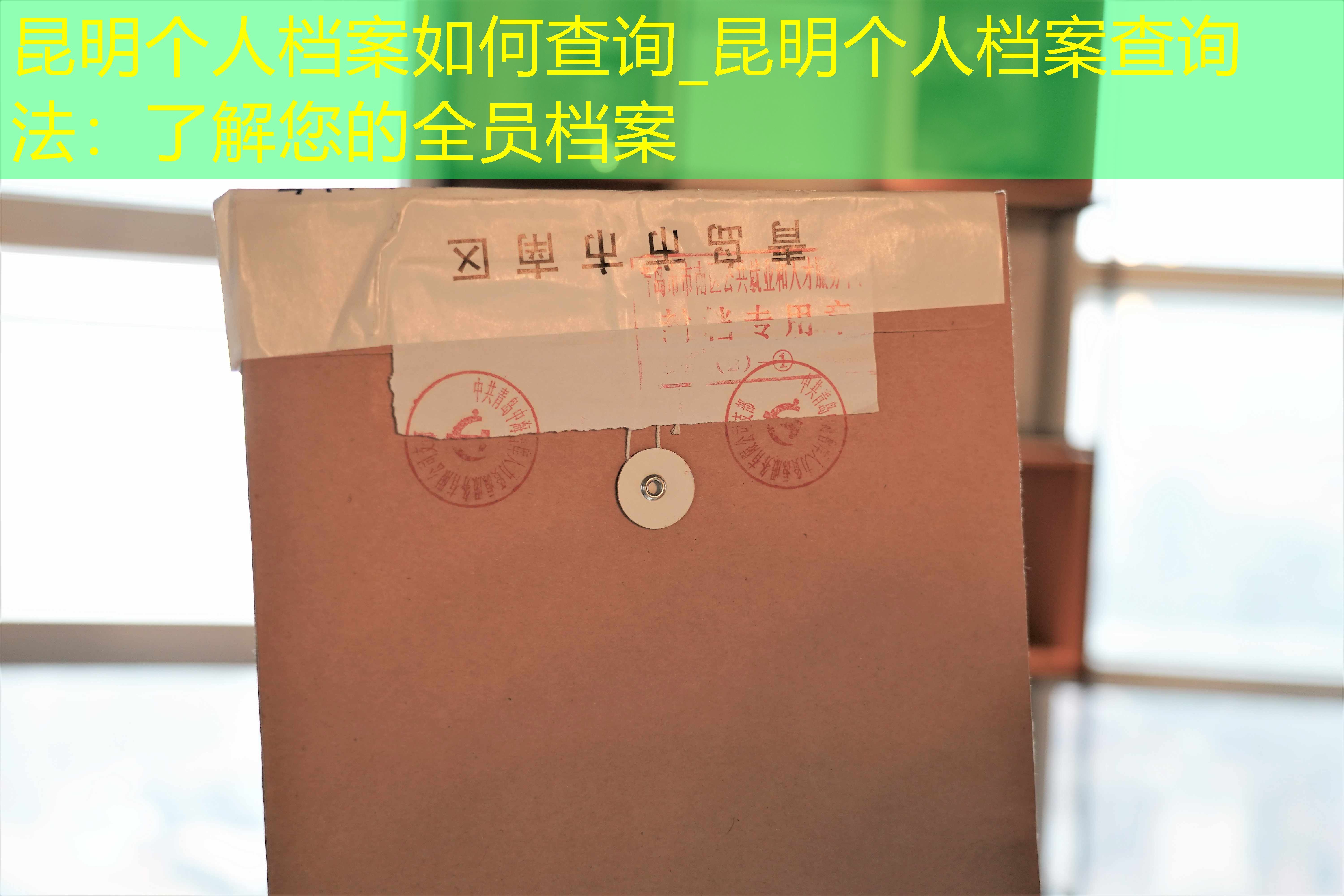 档案查询