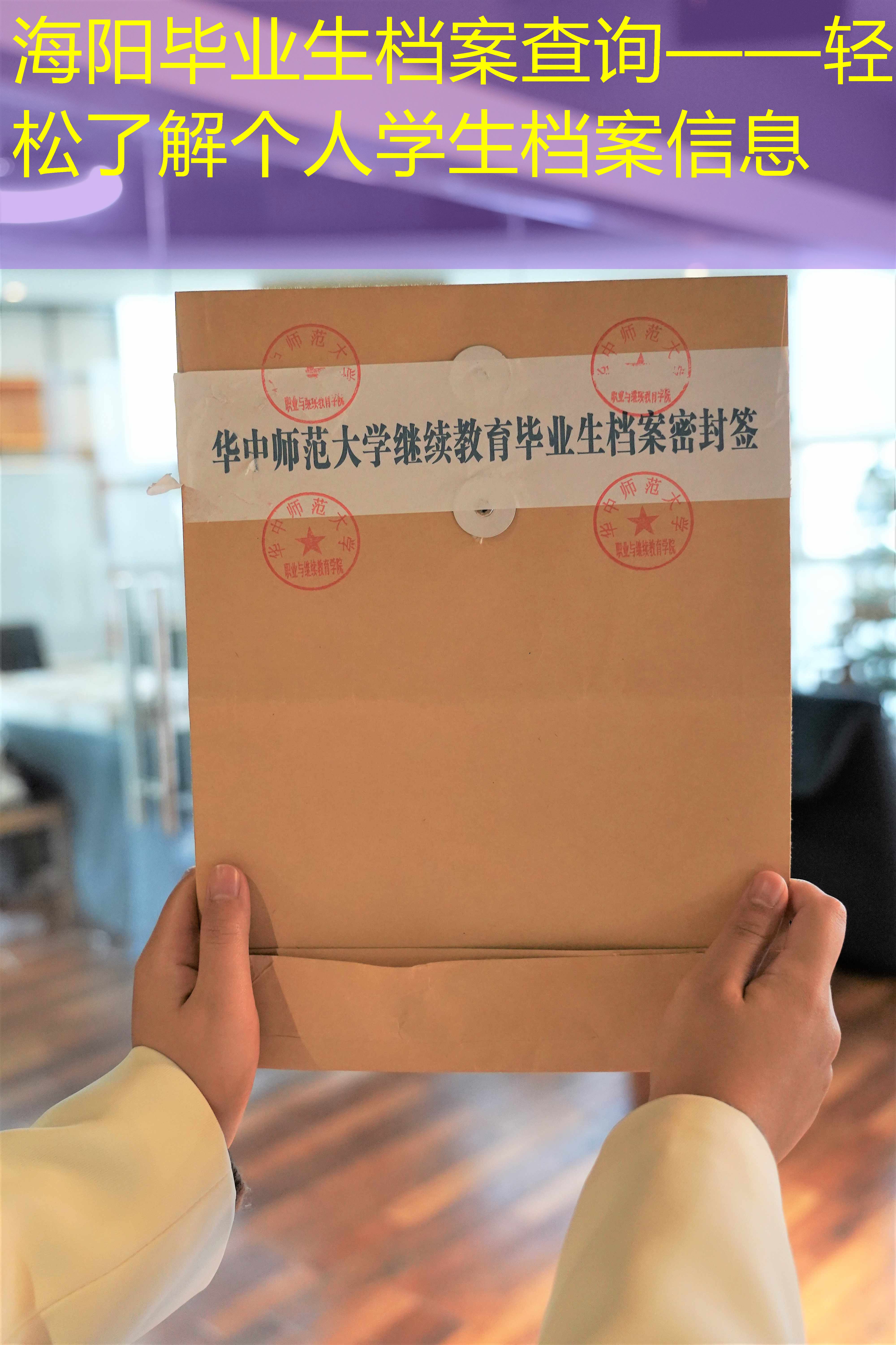 档案查询