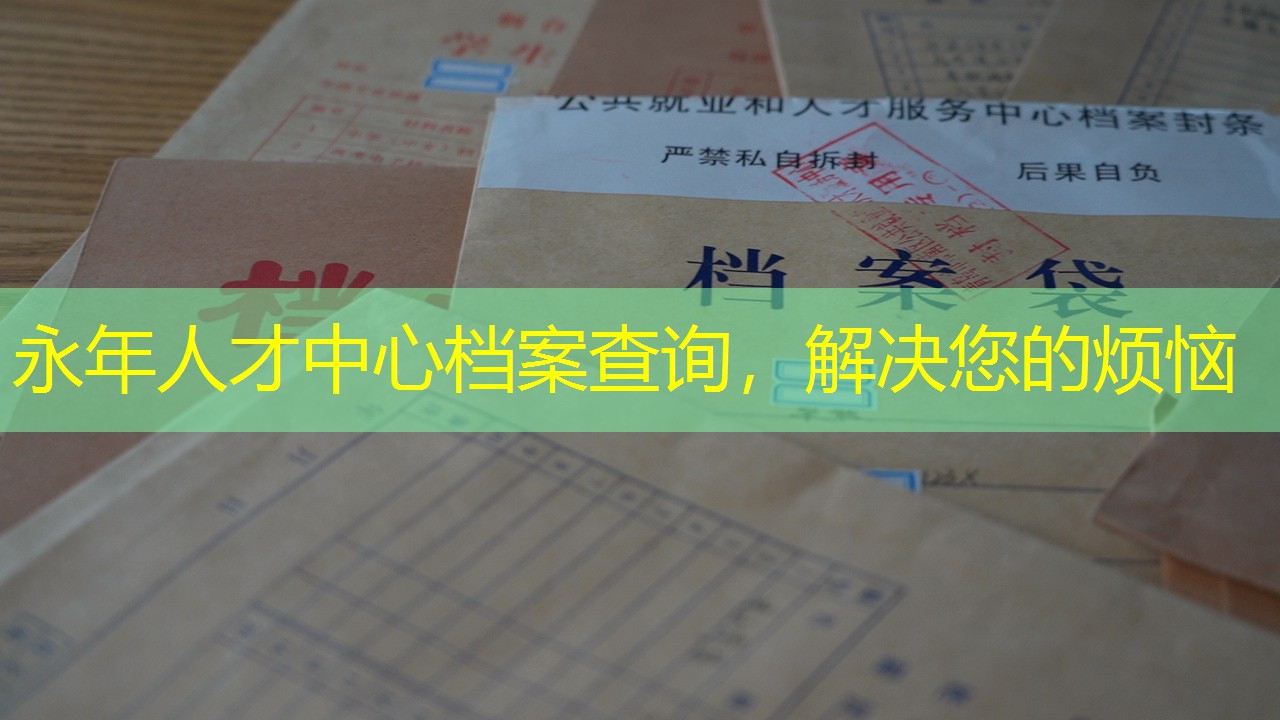 档案查询
