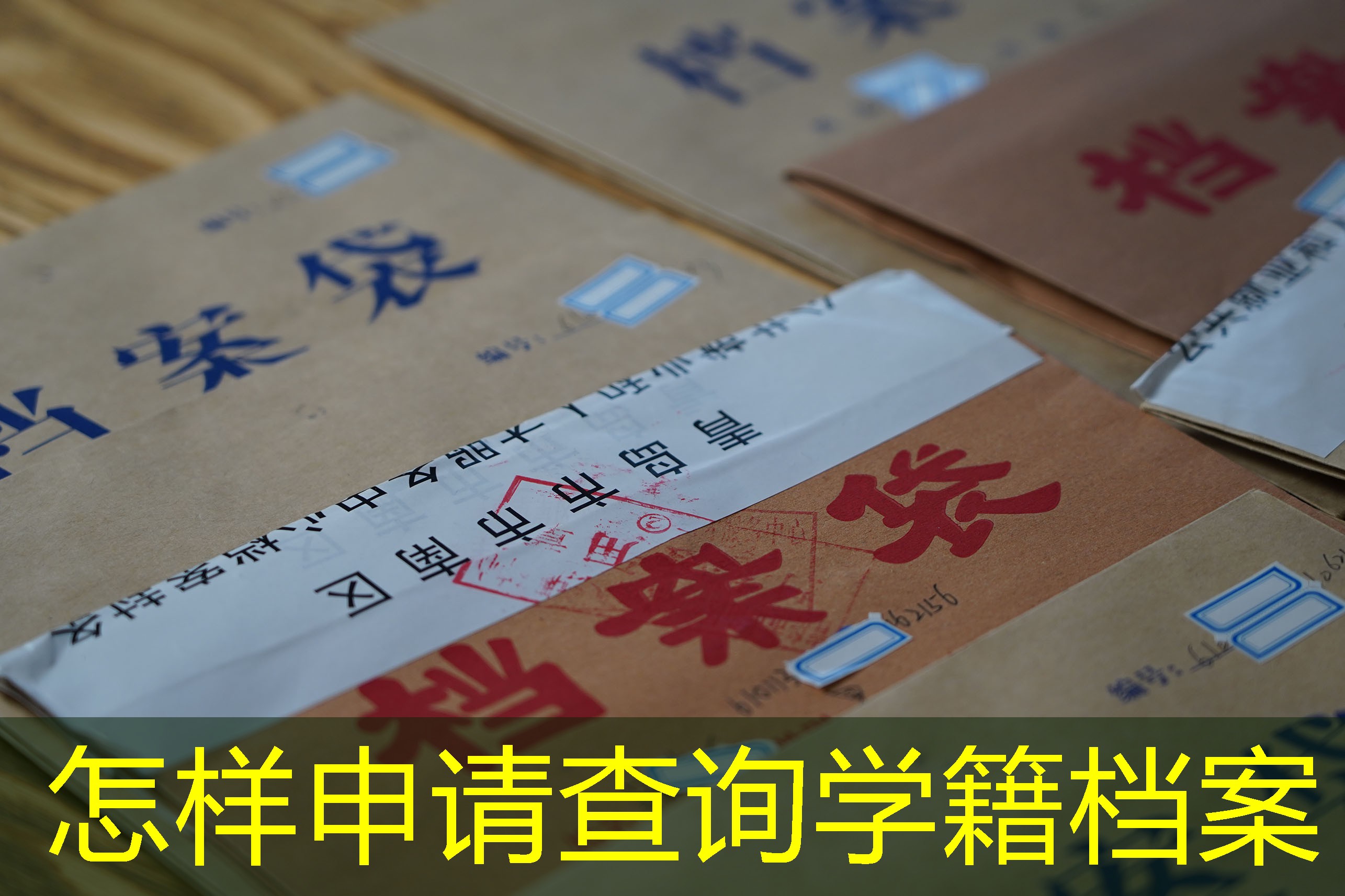 档案查询