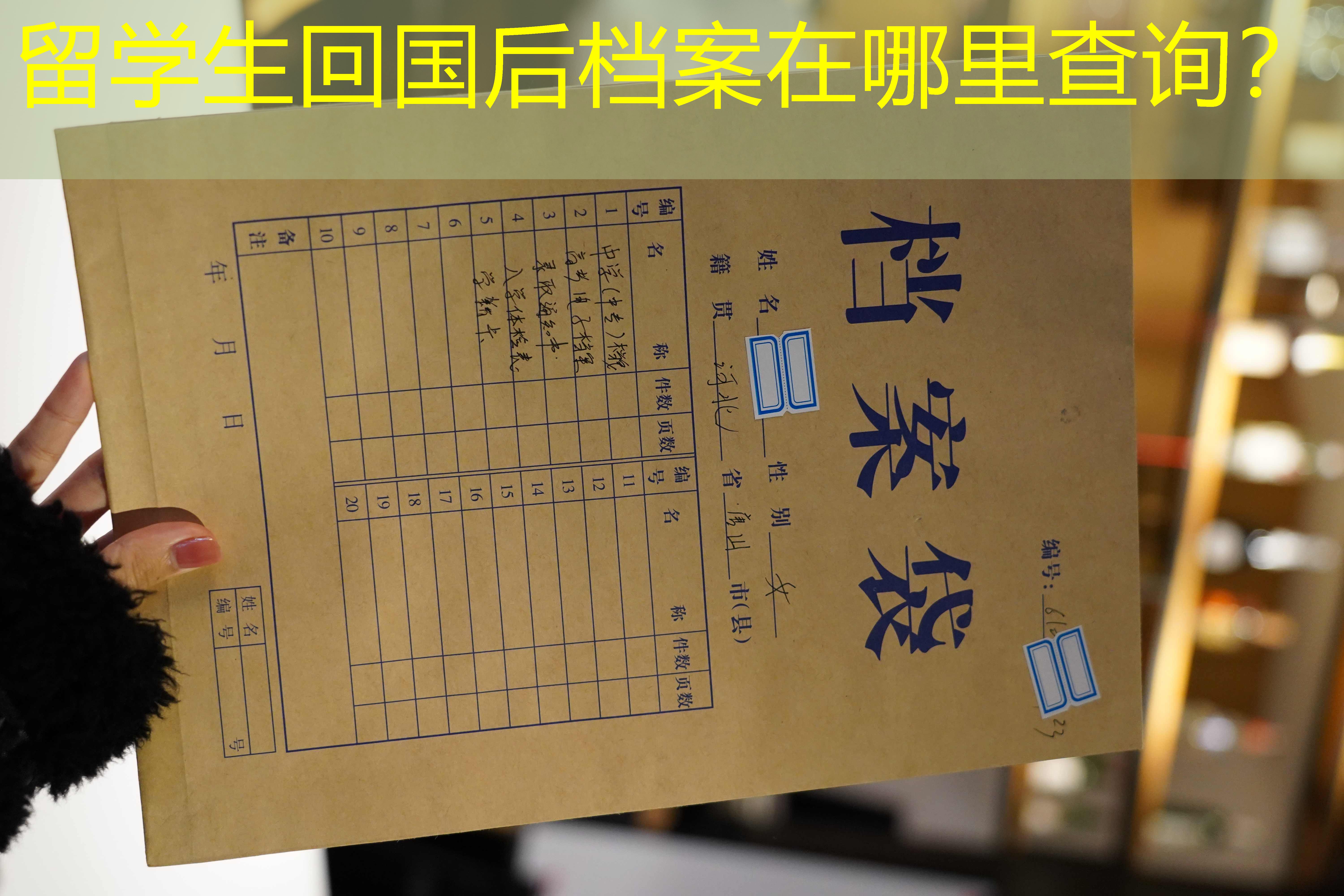 档案查询