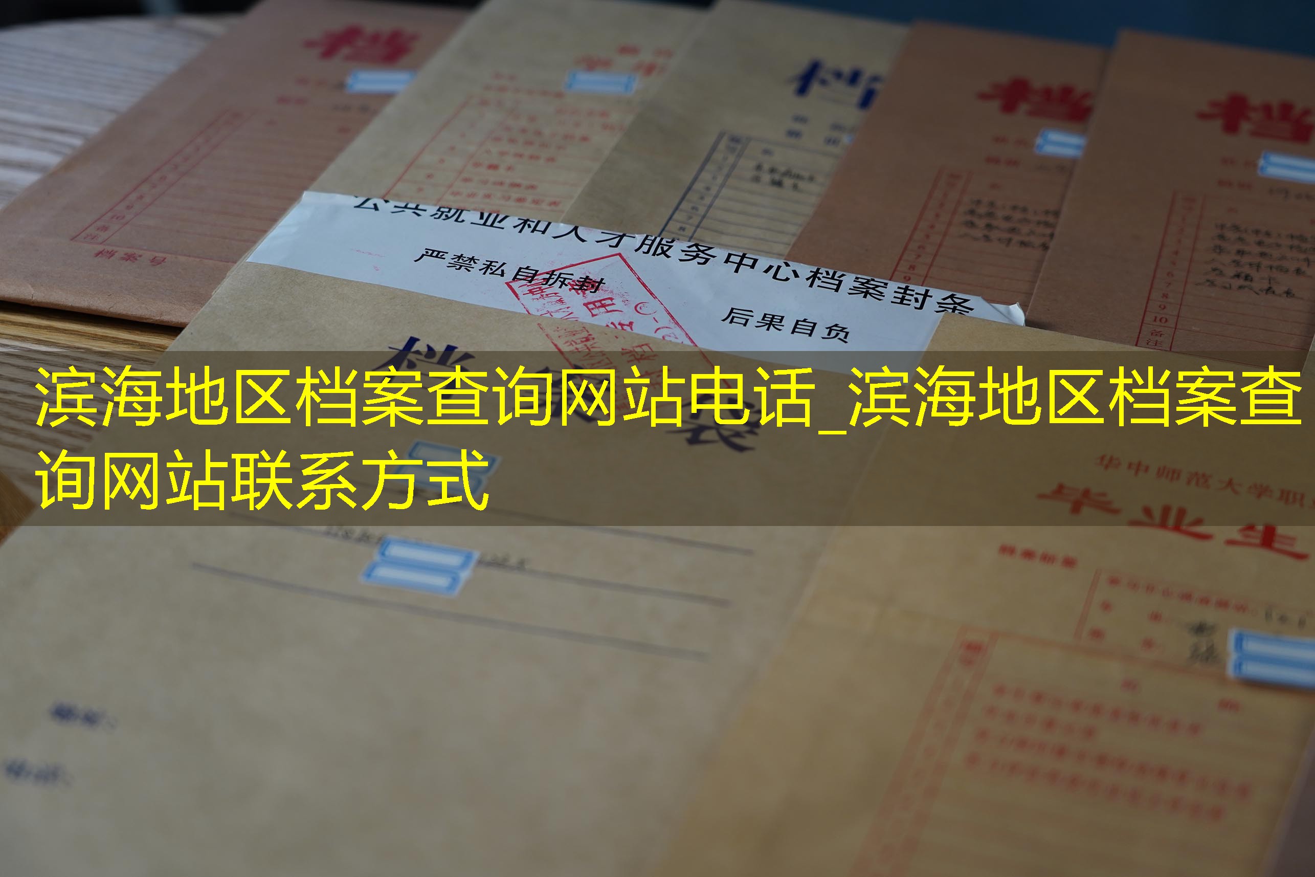 档案查询