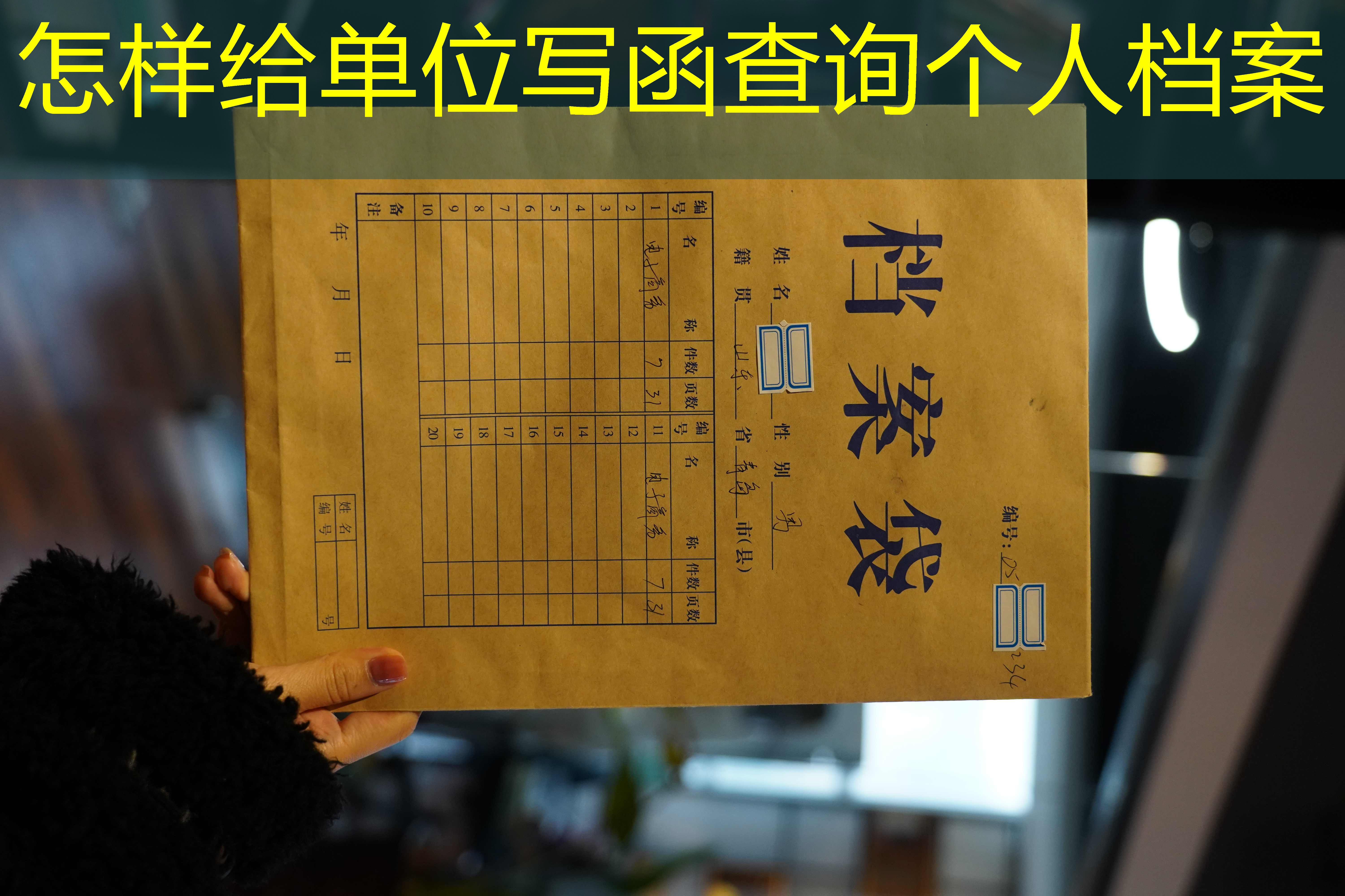档案查询