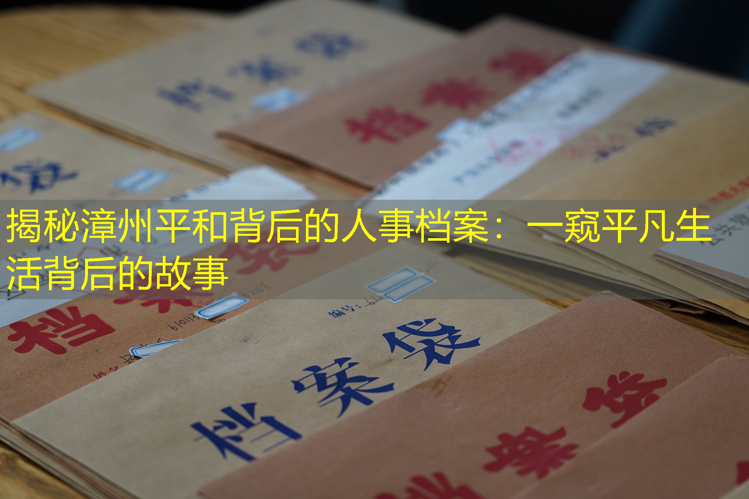 档案查询