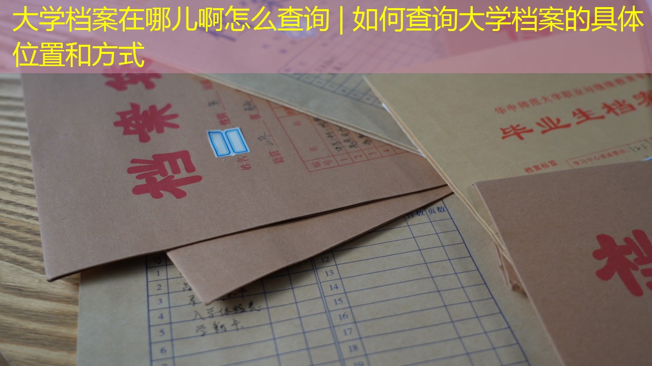 档案查询