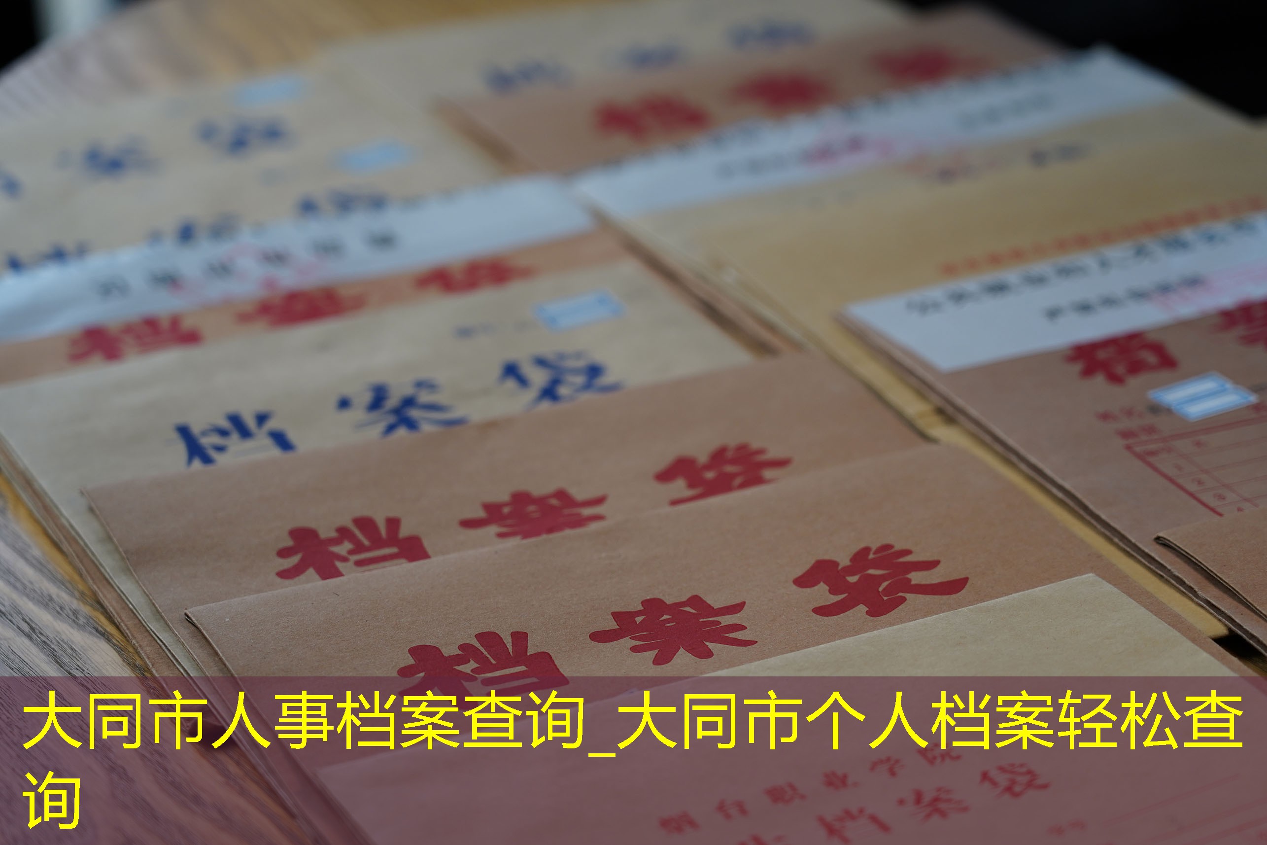 档案查询