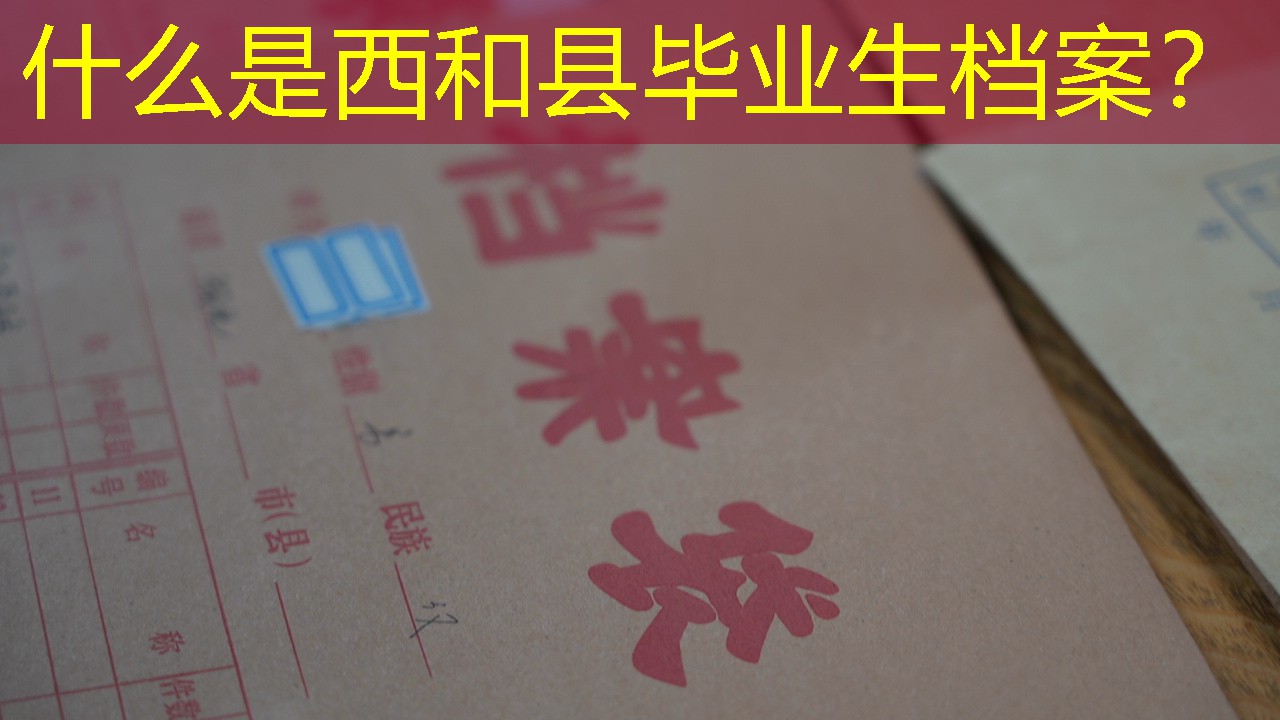 档案查询