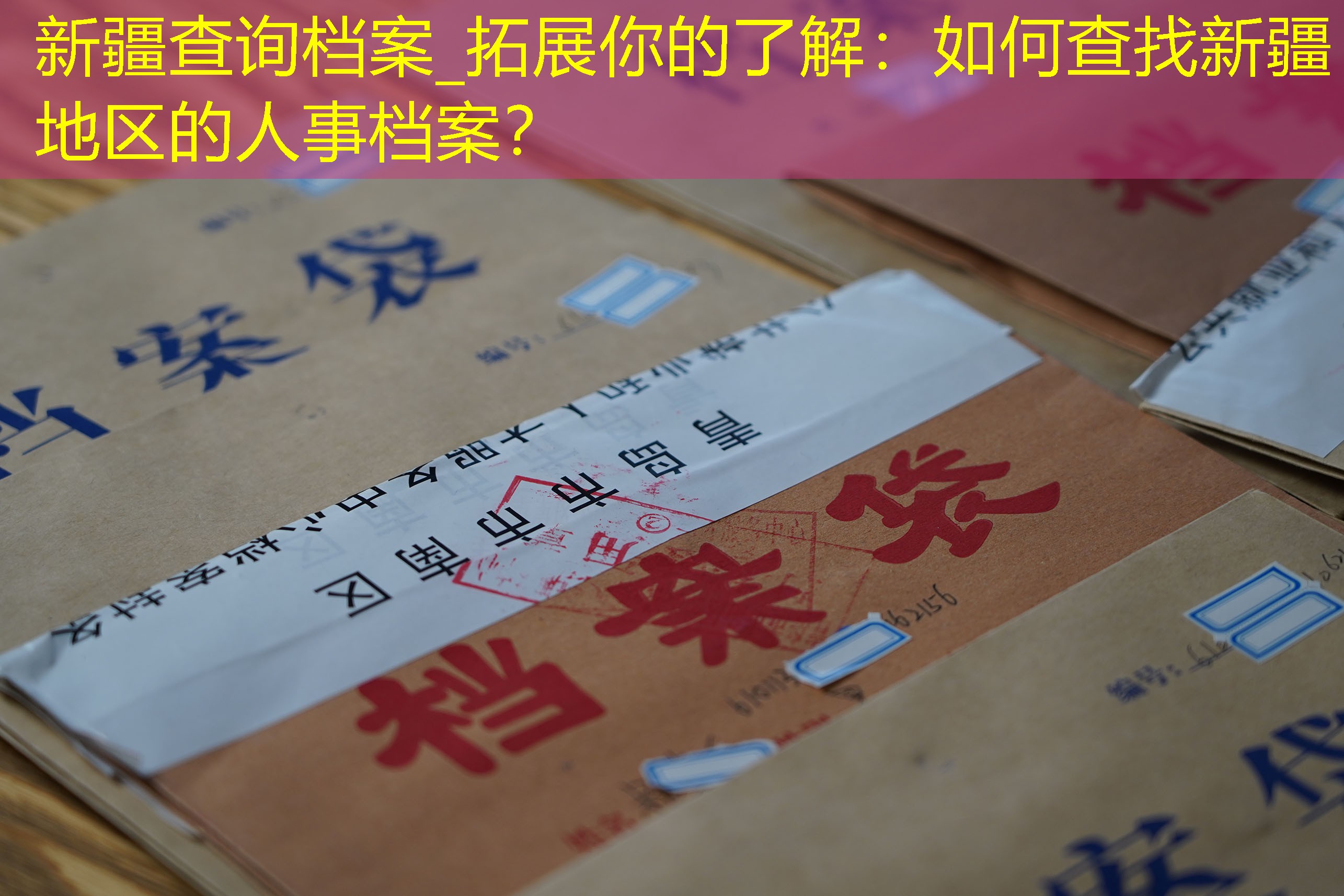 档案查询