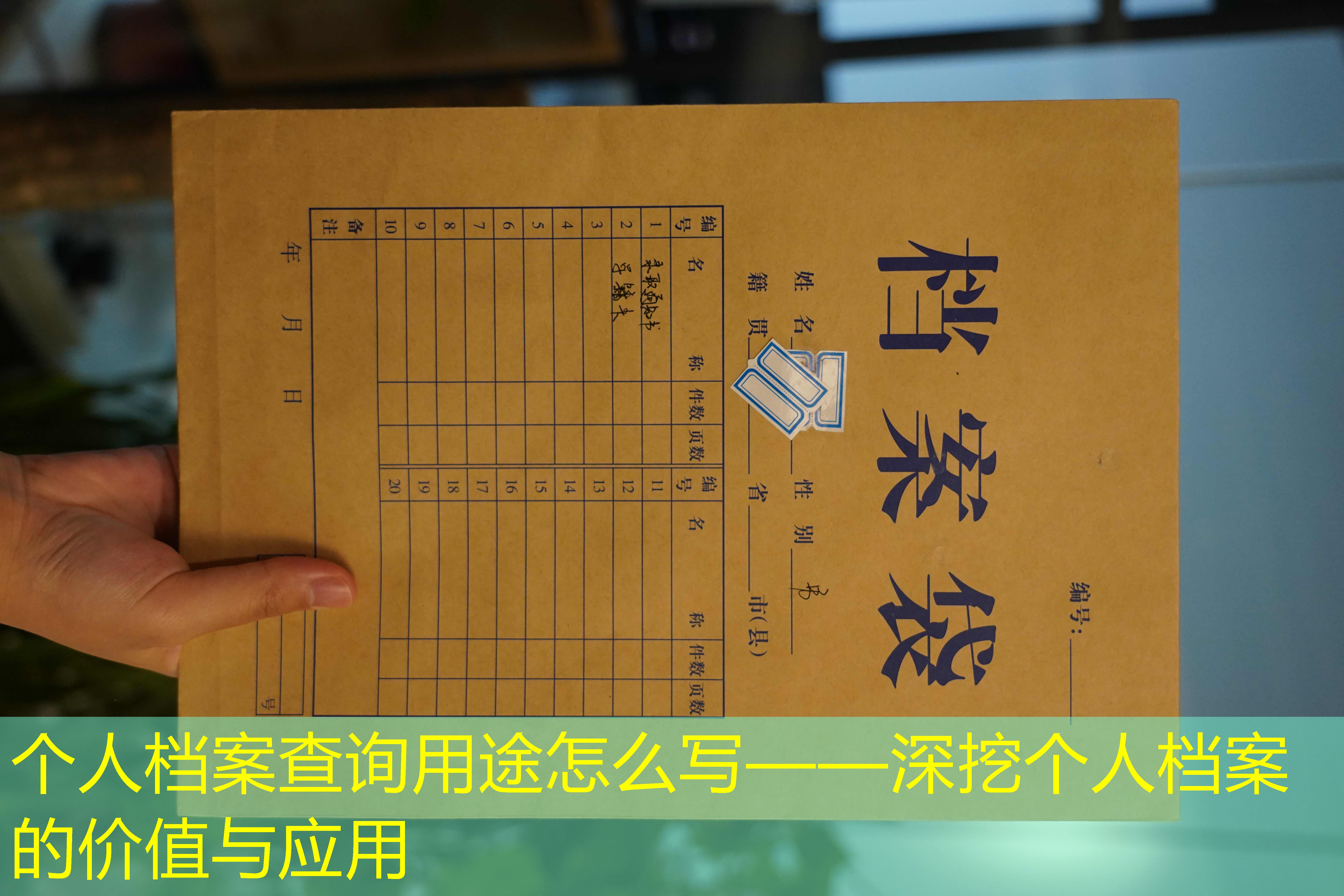 档案查询