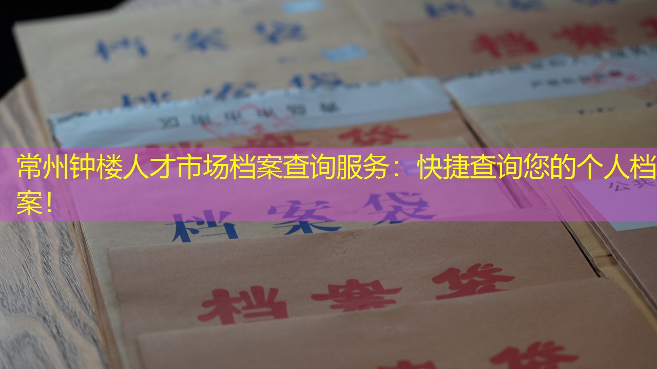档案查询
