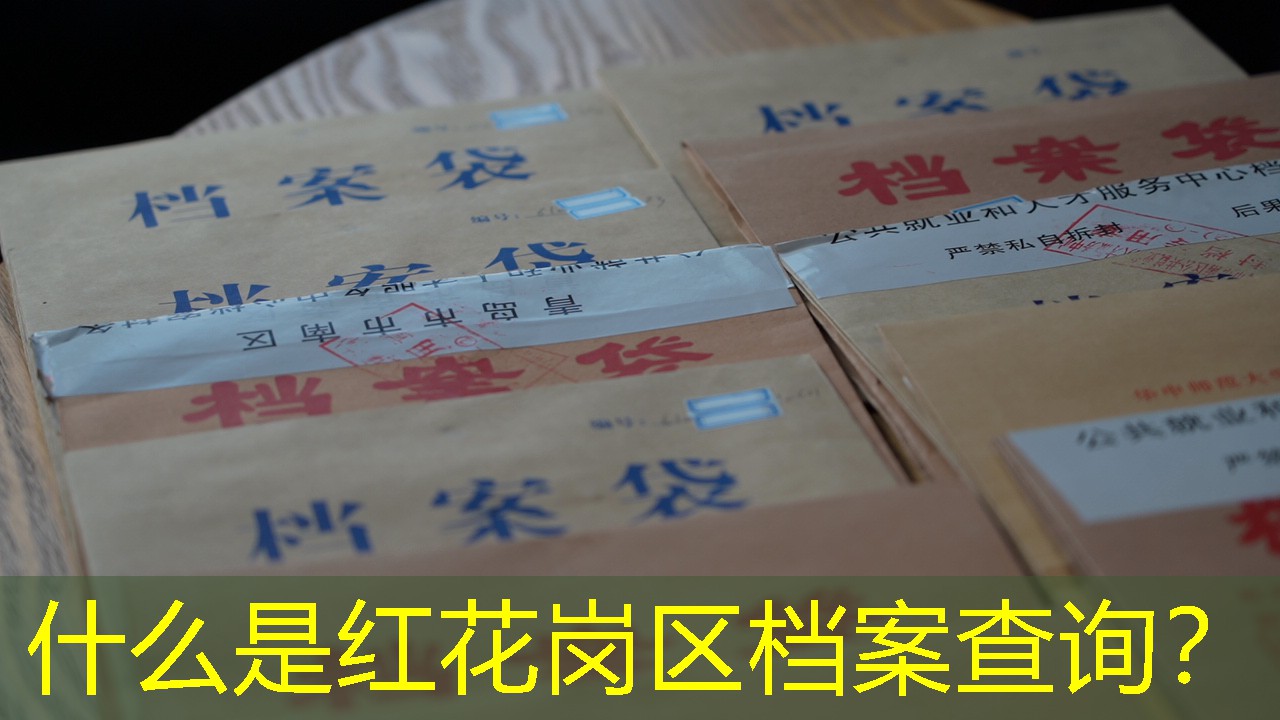 档案查询