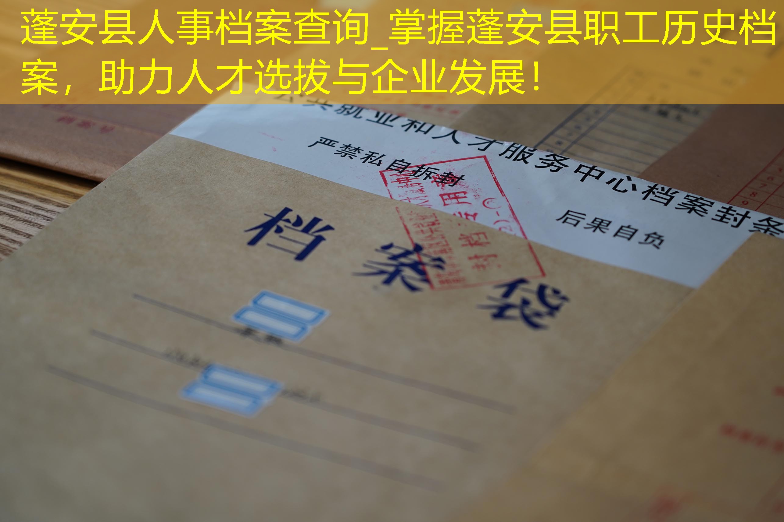 档案查询
