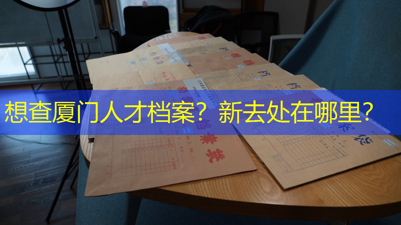 档案查询