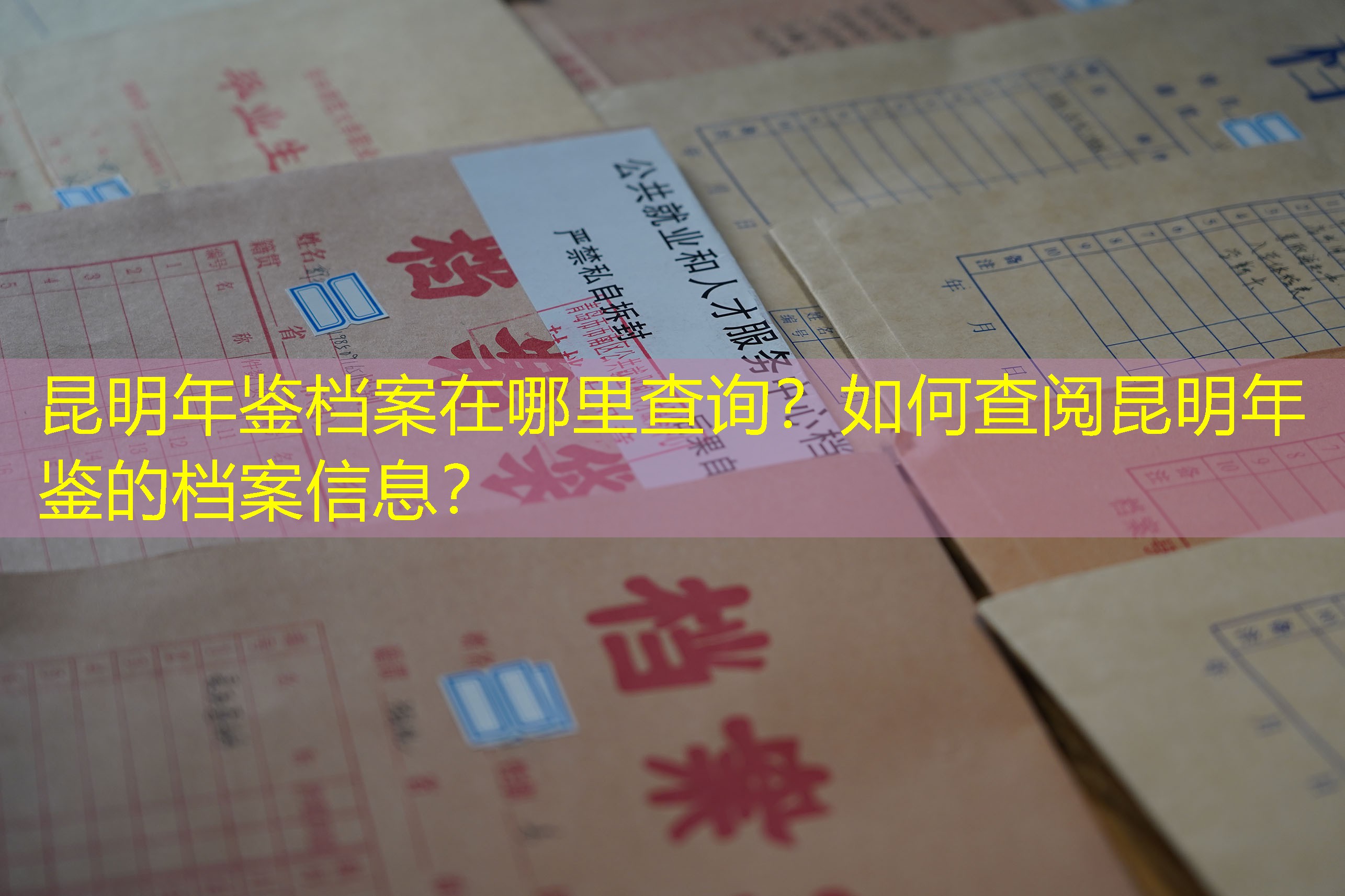 档案查询