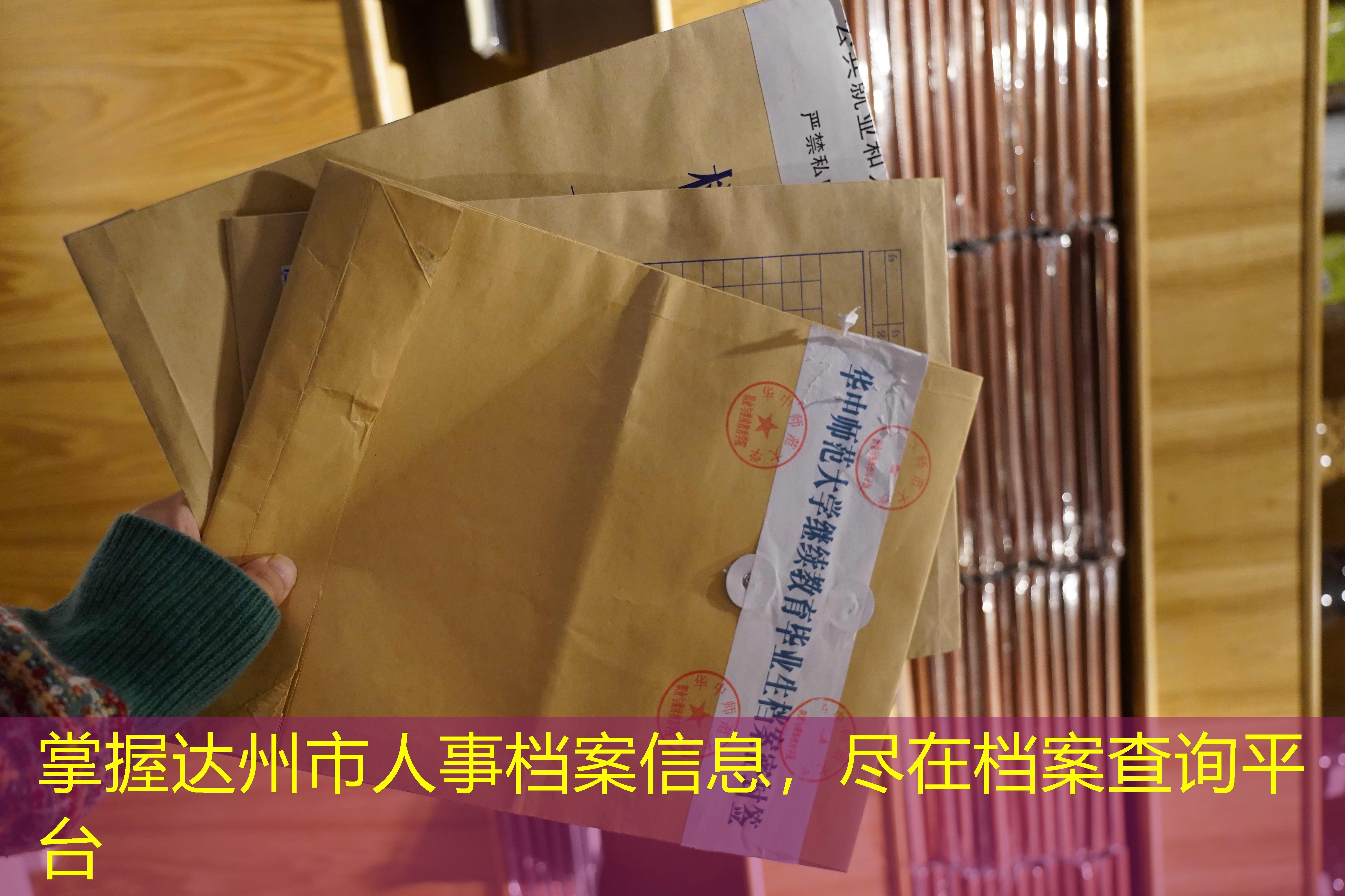 档案查询