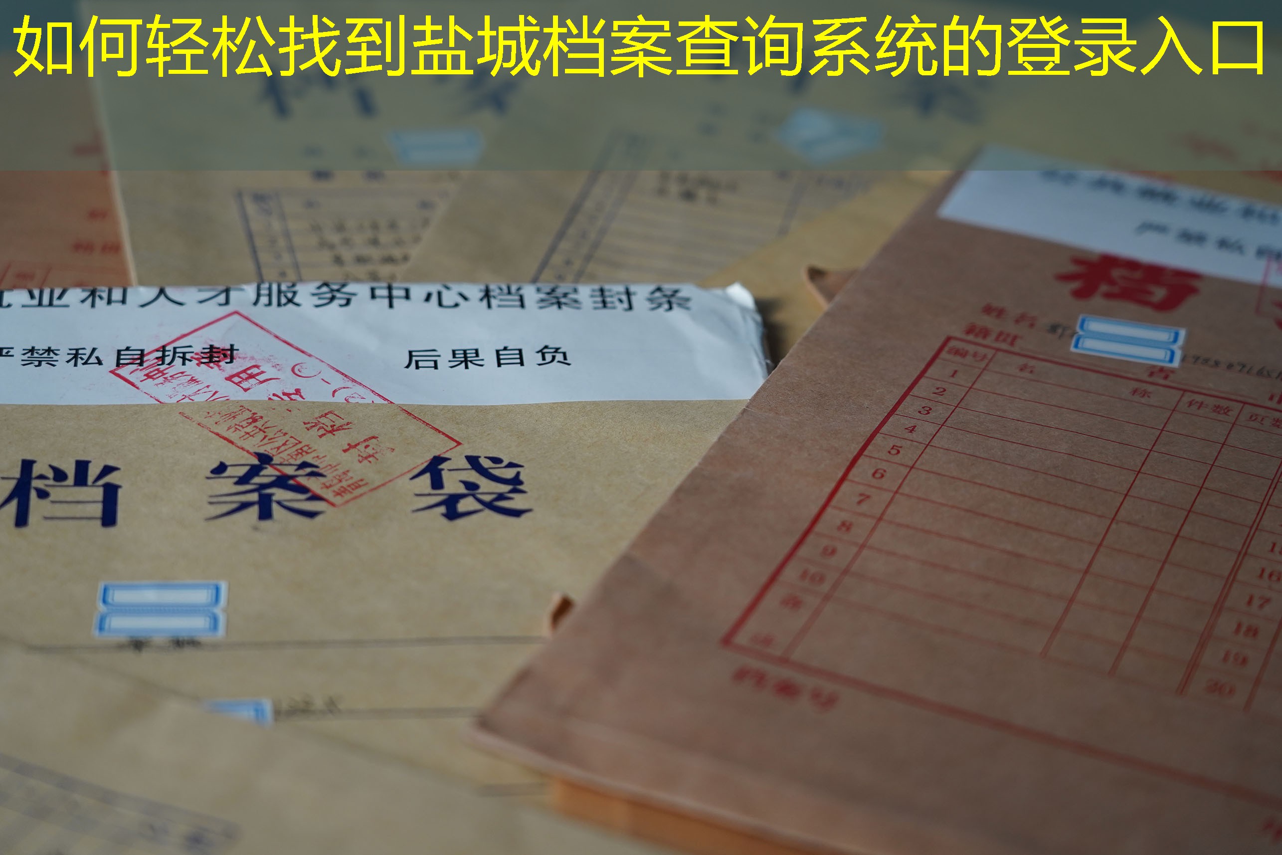 档案查询