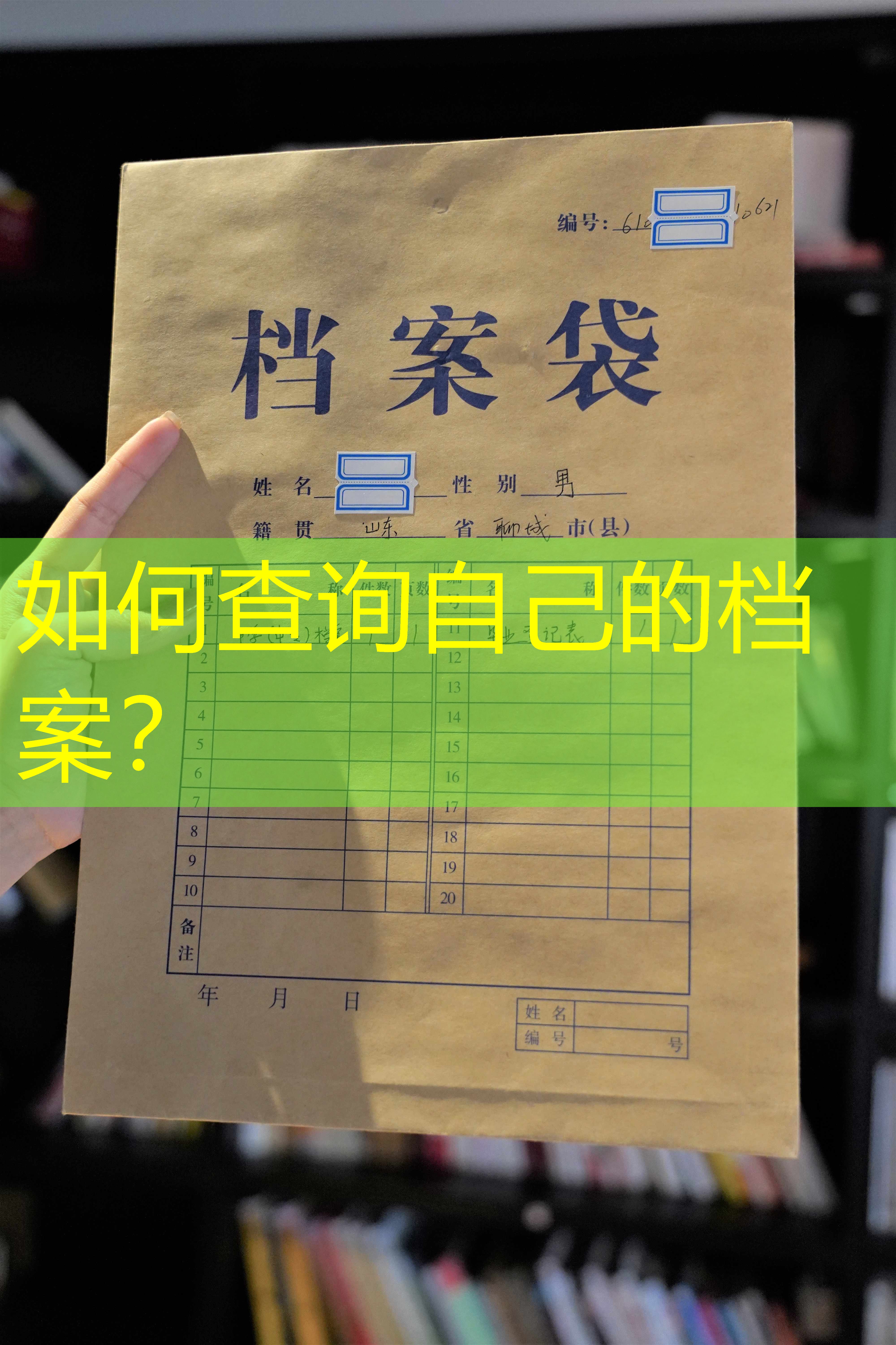 档案查询