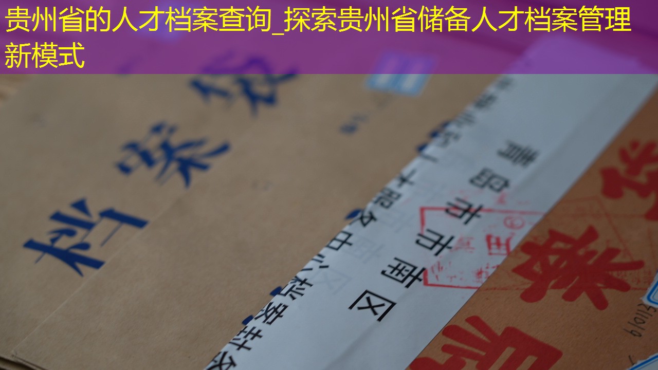 档案查询